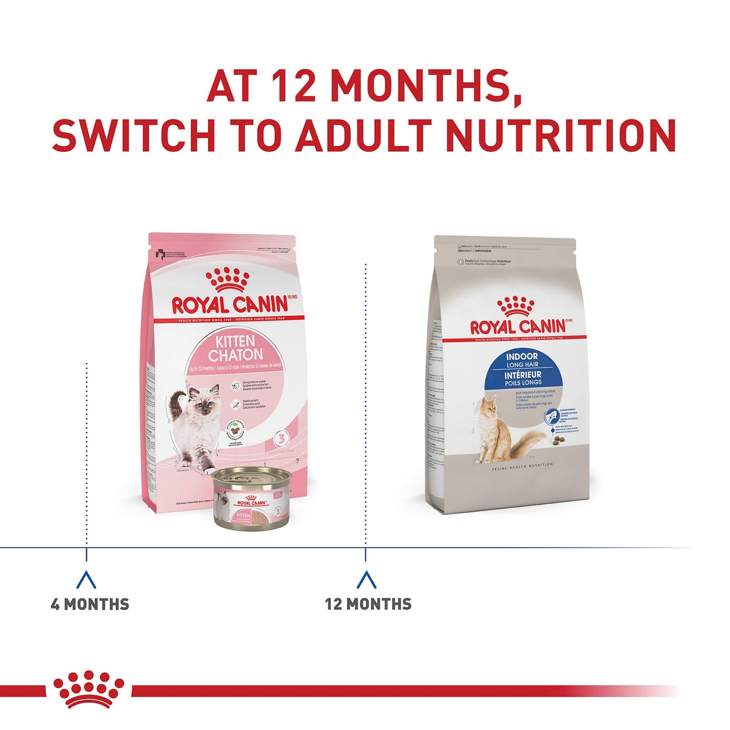 Royal Canin Indoor Long Hair Adult Dry Cat Food, 6 lb bag 🍁 All In One Marketplace Canada