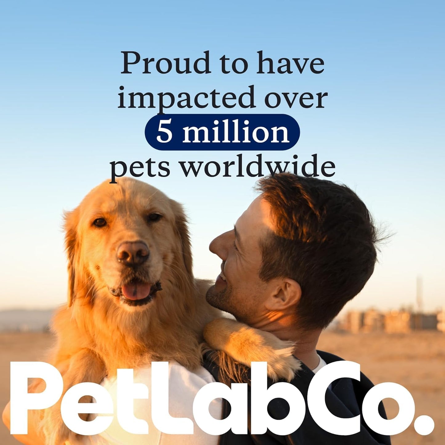 Petlab Co. Joint Care Chews, High Levels of Glucosamine for Dogs, Green Lipped Mussels, Omega 3 and Turmeric, Dog Hip and Joint Supplement to Actively Support Mobility, Packaging May Vary 🍁 All In One Marketplace Canada