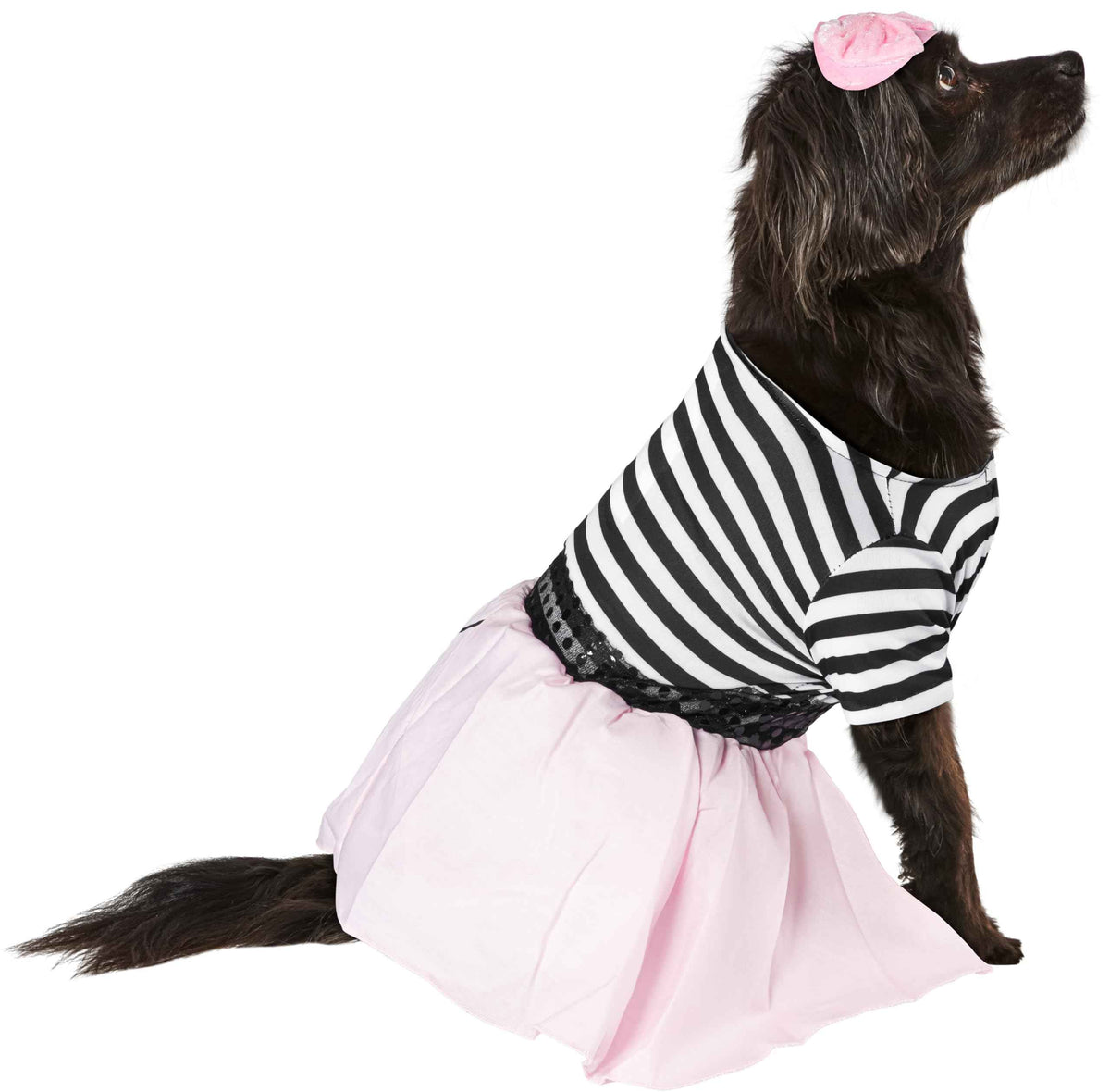 Rubies Costume Co Halloween Classics Collection Pet Costume, Medium, 50s Girl Dress