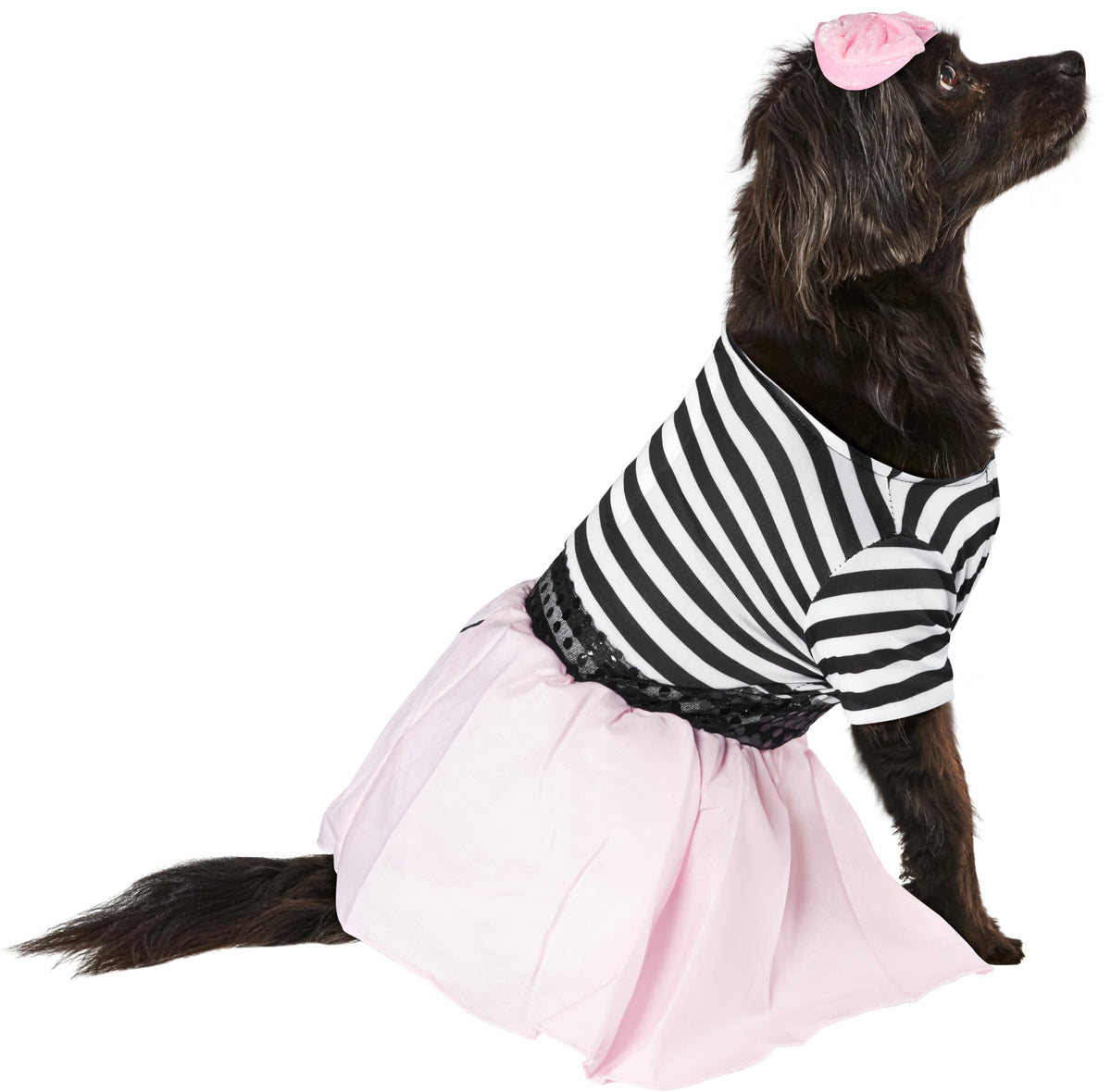 Rubies Costume Co Halloween Classics Collection Pet Costume, Small, 50s Girl Dress