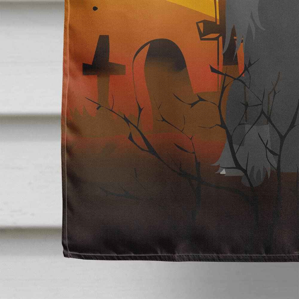 Caroline's Treasures BB4378CHF Halloween Chinese Crested Black Flag Canvas House Size, Large, Multicolor