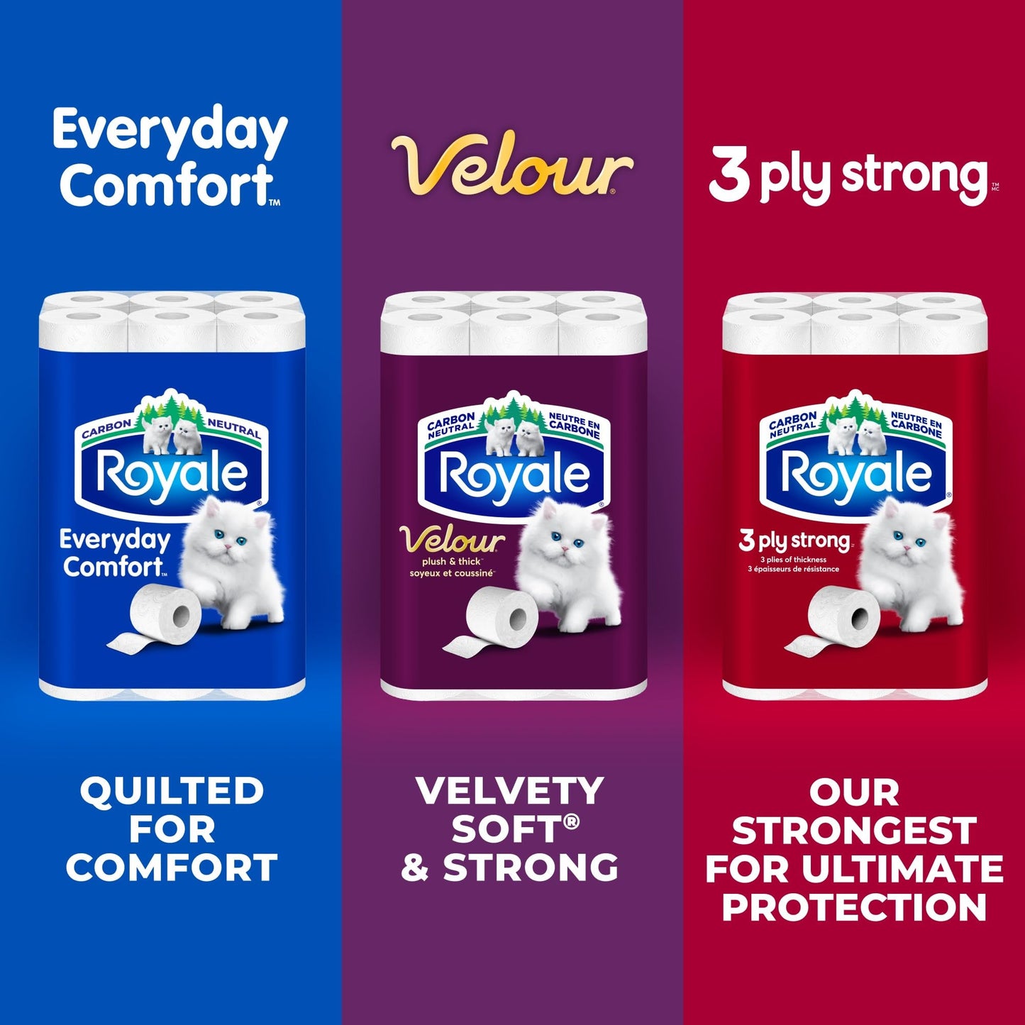 Royale Velour Toilet Paper, 12 Equal 48 Rolls, 284 Bathroom Tissues per roll 🍁 All In One Marketplace Canada