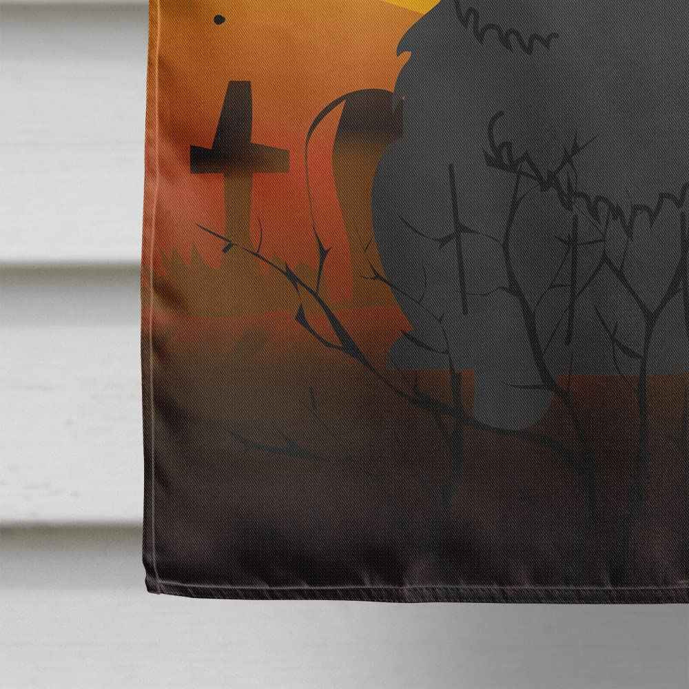 Caroline's Treasures BB4409CHF Halloween Chow Chow Black Canvas House Size Flag, Large, Multicolor
