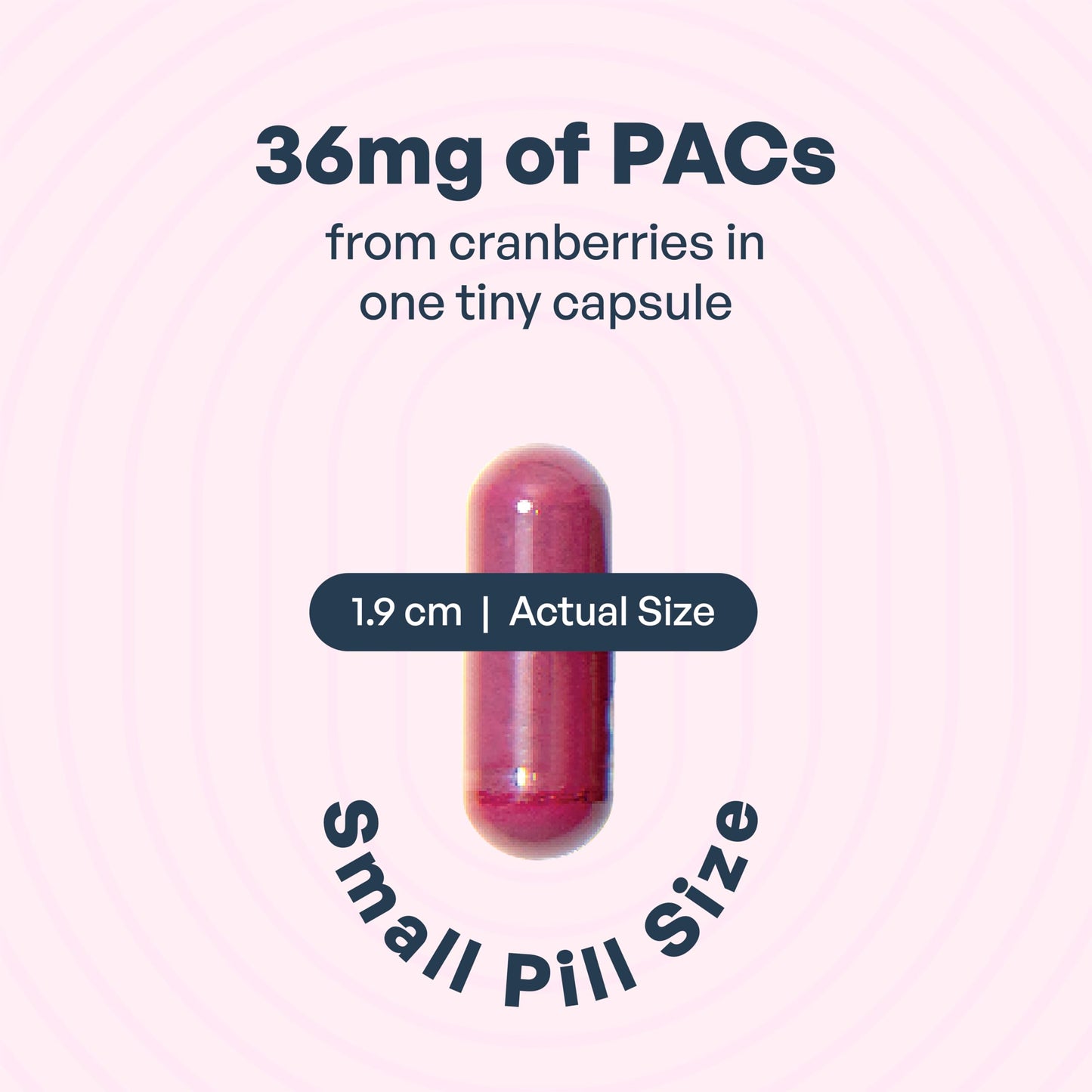Utiva UTI Control Cranberry PACs - #1 Doctor- Recommended for UTI prevention - 36mg PACs for Urinary Tract Infection Avoidance - Supplement for Urinary Tract Health for Women and Men – Cranberry Extract Pills for urinary & bladder health, 90 Vegi Capsules