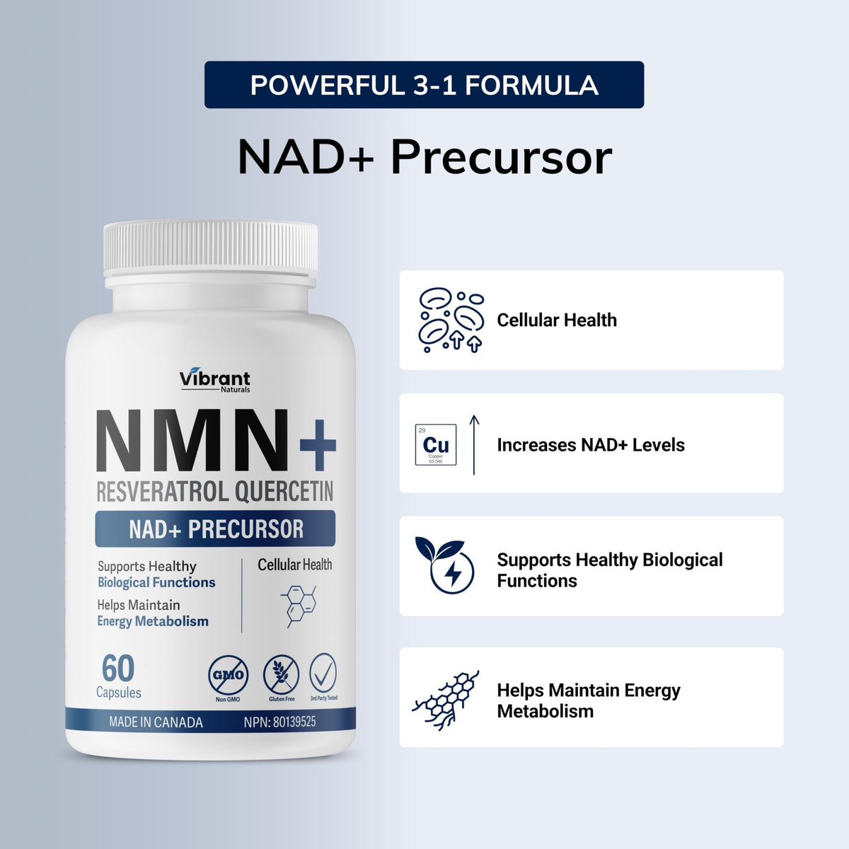 NMN w/Quercetin & Resveratrol For Enhanced NAD+ Levels - More Effective Than NMN Alone, High Purity 99% Nicotinamide Mononucleotide & Resveratrol For Cellular Health, NAD Supplement, 60 Capsules 🍁 All In One Marketplace Canada
