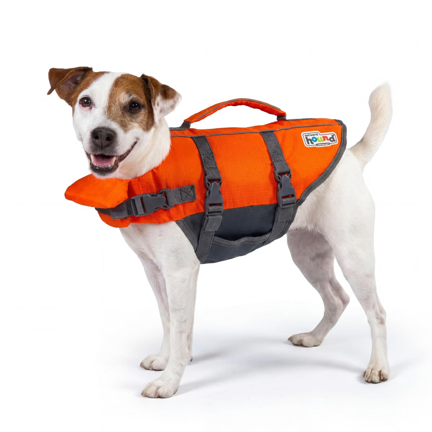 Outward Hound Granby Splash Dog Life Jacket with Handle, Reflective Floating Vest for Swimming & Boating, Maximum Buoyancy, All Skill Levels, Small Dogs & Puppies (16–20" Girth), Orange, Small 🍁 All In One Marketplace Canada