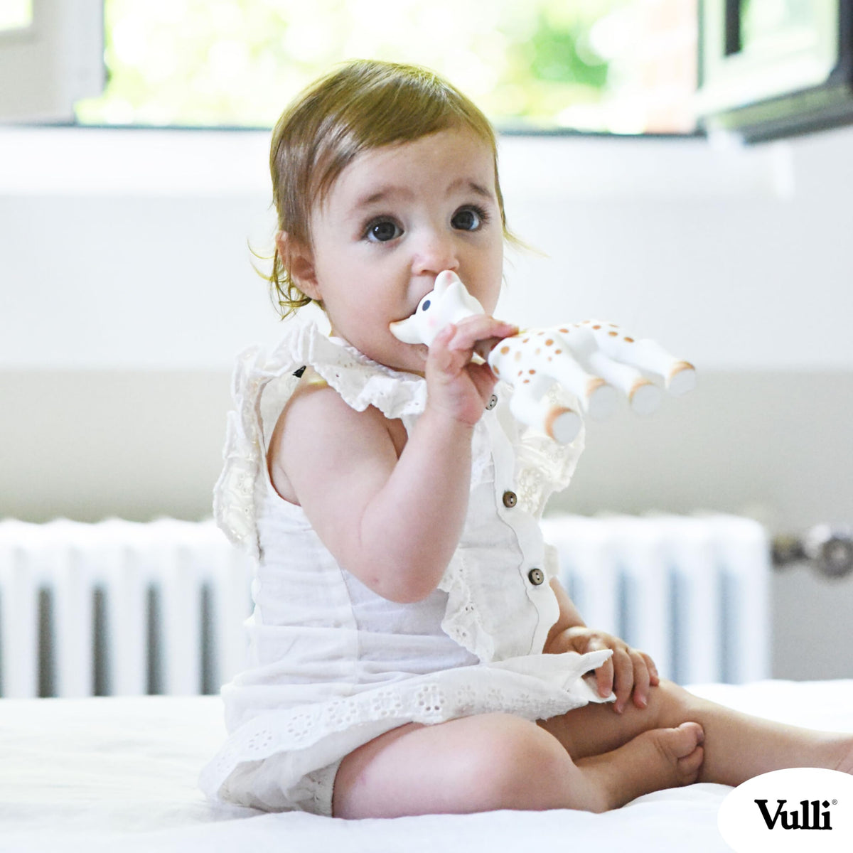 Sophie la Girafe - So Pure Box - Original Baby Teething Toy 100% Natural Rubber - BPA-Free, Non-Toxic, Vegan, Sensory Stimulating Teether for Newborns 0+ Months - 616331 🍁 All In One Marketplace Canada