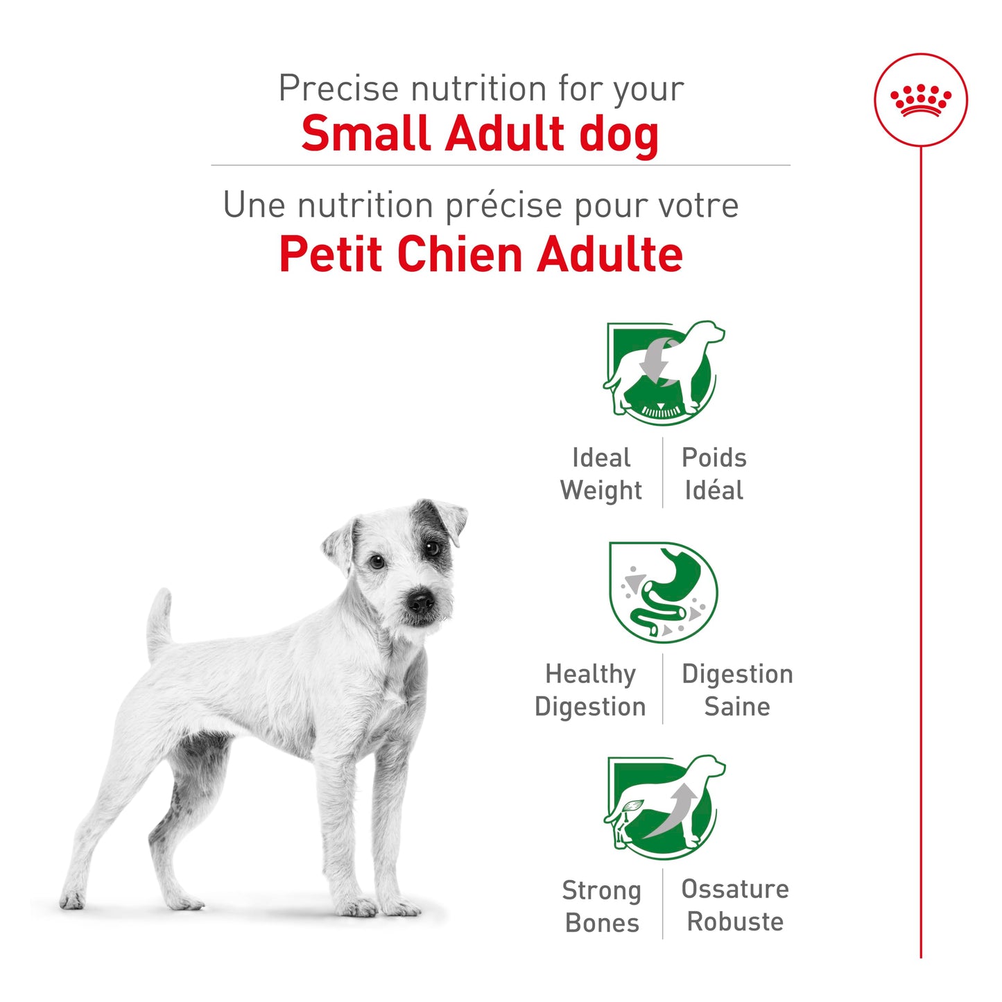 Royal Canin Small Breed Adult Dry Dog Food, 4.4 lb Bag 🍁 All In One Marketplace Canada