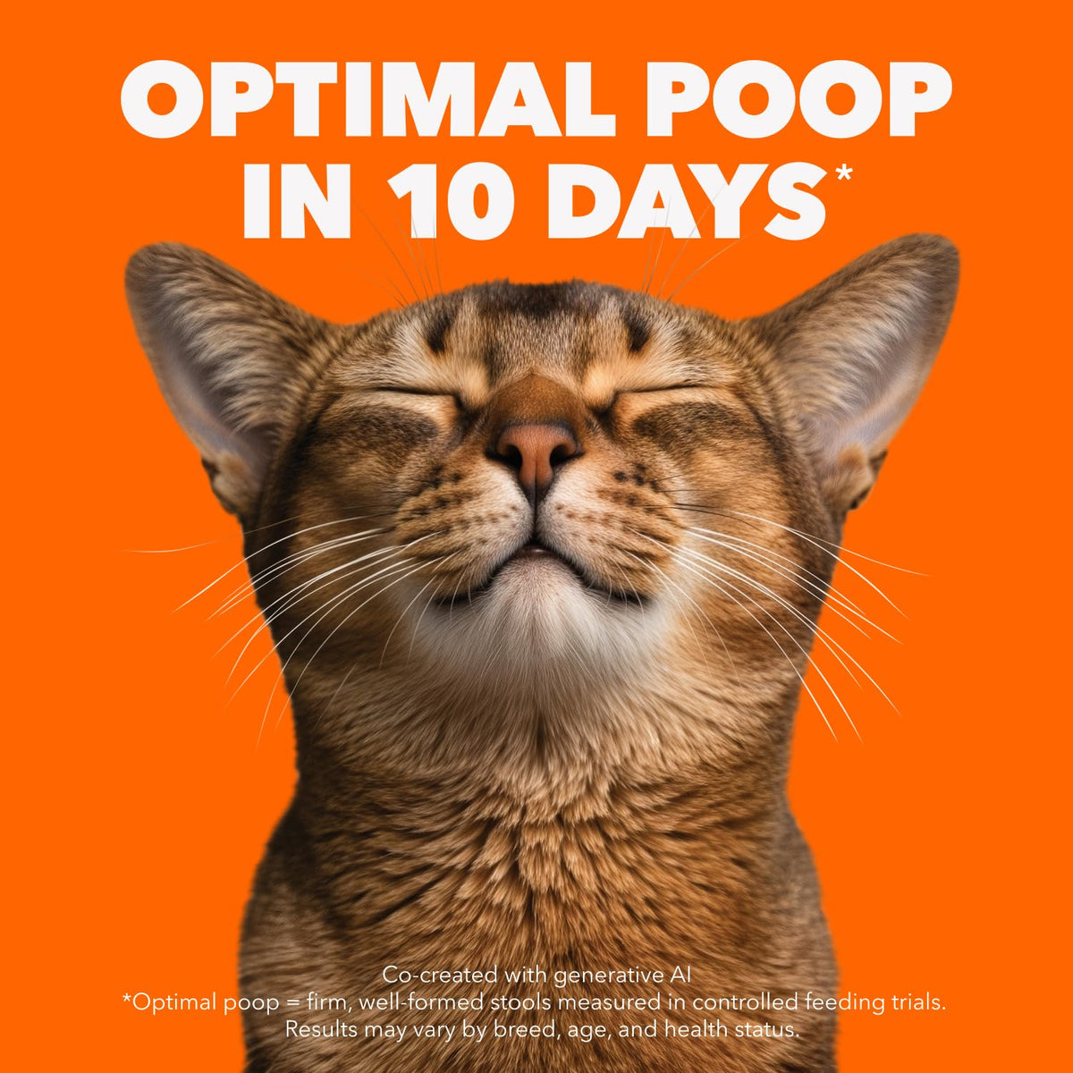 IAMS PROACTIVE HEALTH Indoor Weight & Hairball Care Adult Dry Cat Food – Salmon – 7.26KG (16LB) Bag 🍁 All In One Marketplace Canada