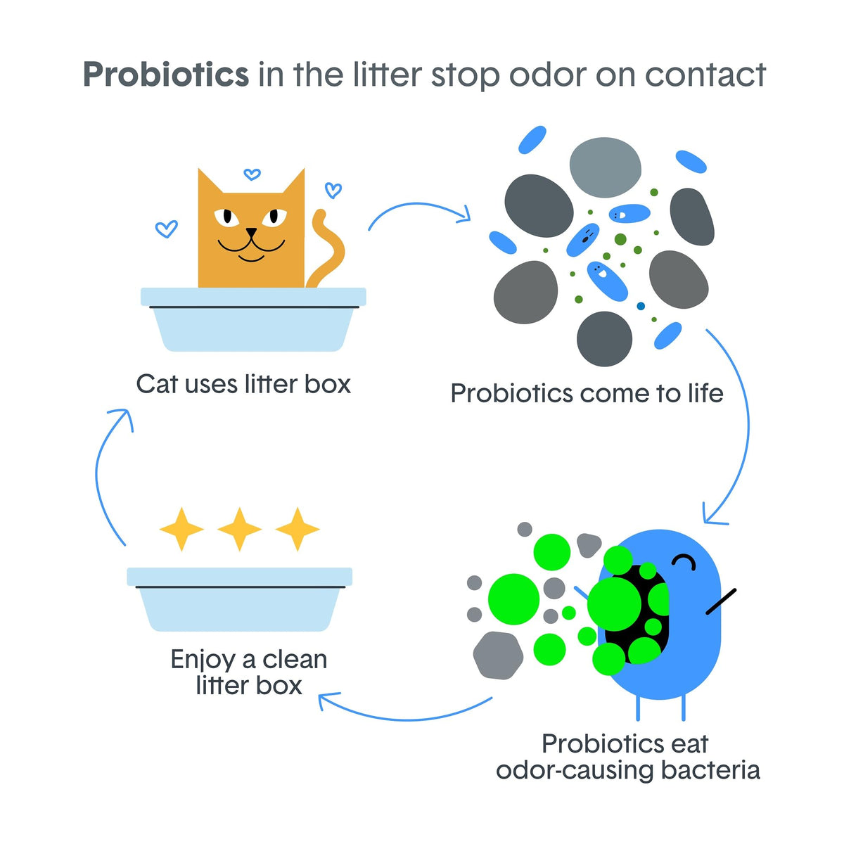 Boxie® Probiotic Cat Litter 40 Day Natural Odor Control, 16lb Clumping Kitty Litter (Clay) 🍁 All In One Marketplace Canada