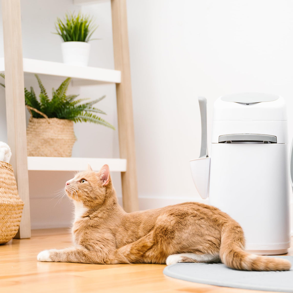 Litter Genie Style Pail - Cat Litter Waste Disposal System with Square Pail Refill Bag - Compatible with Standard and Jumbo Litter Genie Refill 🍁 All In One Marketplace Canada