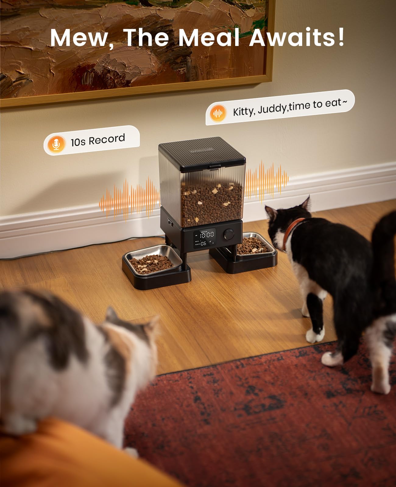 oneisall Automatic Cat Feeder for 2 Cats, 20 Cups/5L Automatic Cat Food Dispenser for Small Pets Indoor, Timed Cat Feeder for Dry Food 🍁 All In One Marketplace Canada