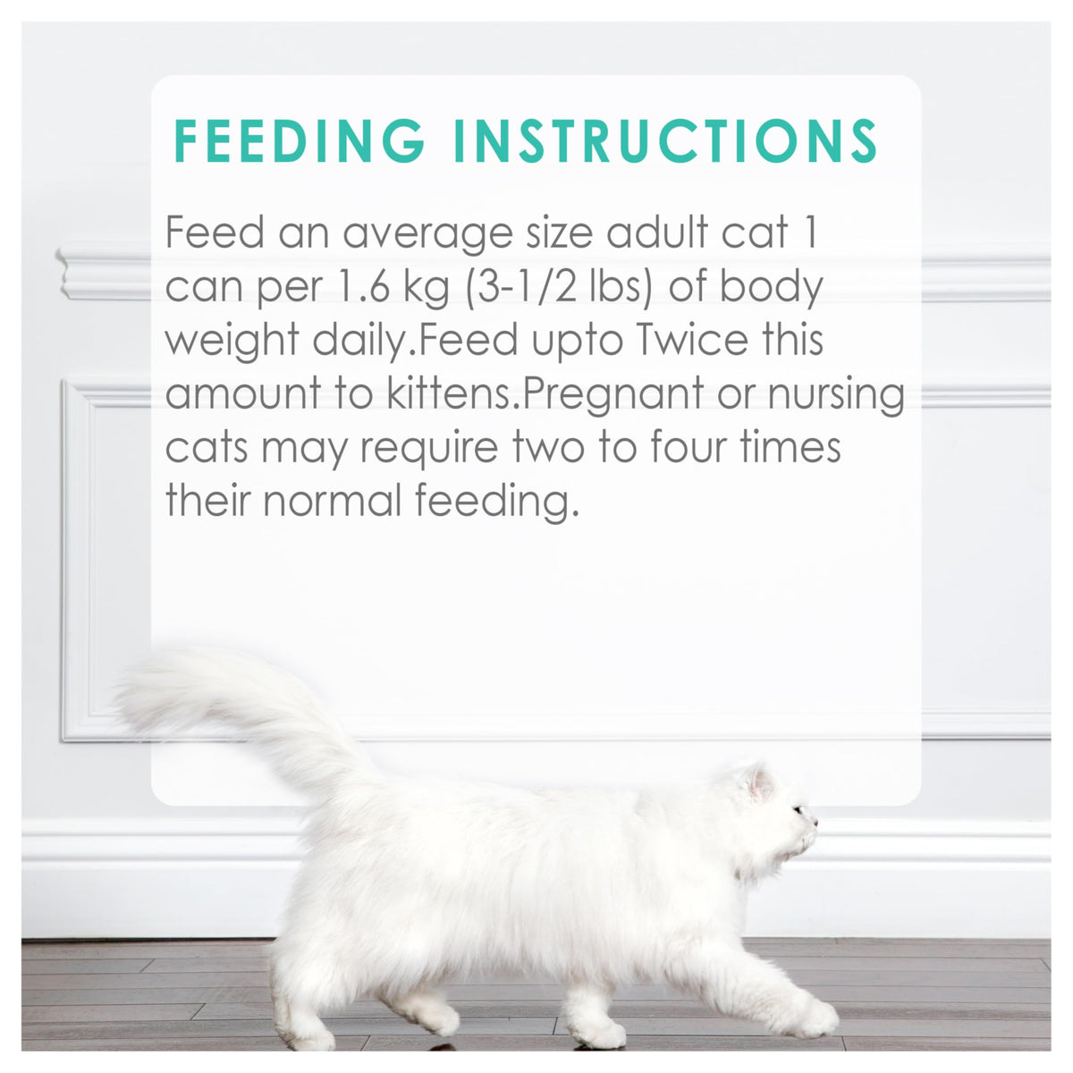 Fancy Feast Wet Cat Food, Pate Salmon & Shrimp Feast - 85 g Can (24 Pack) 🍁 All In One Marketplace Canada