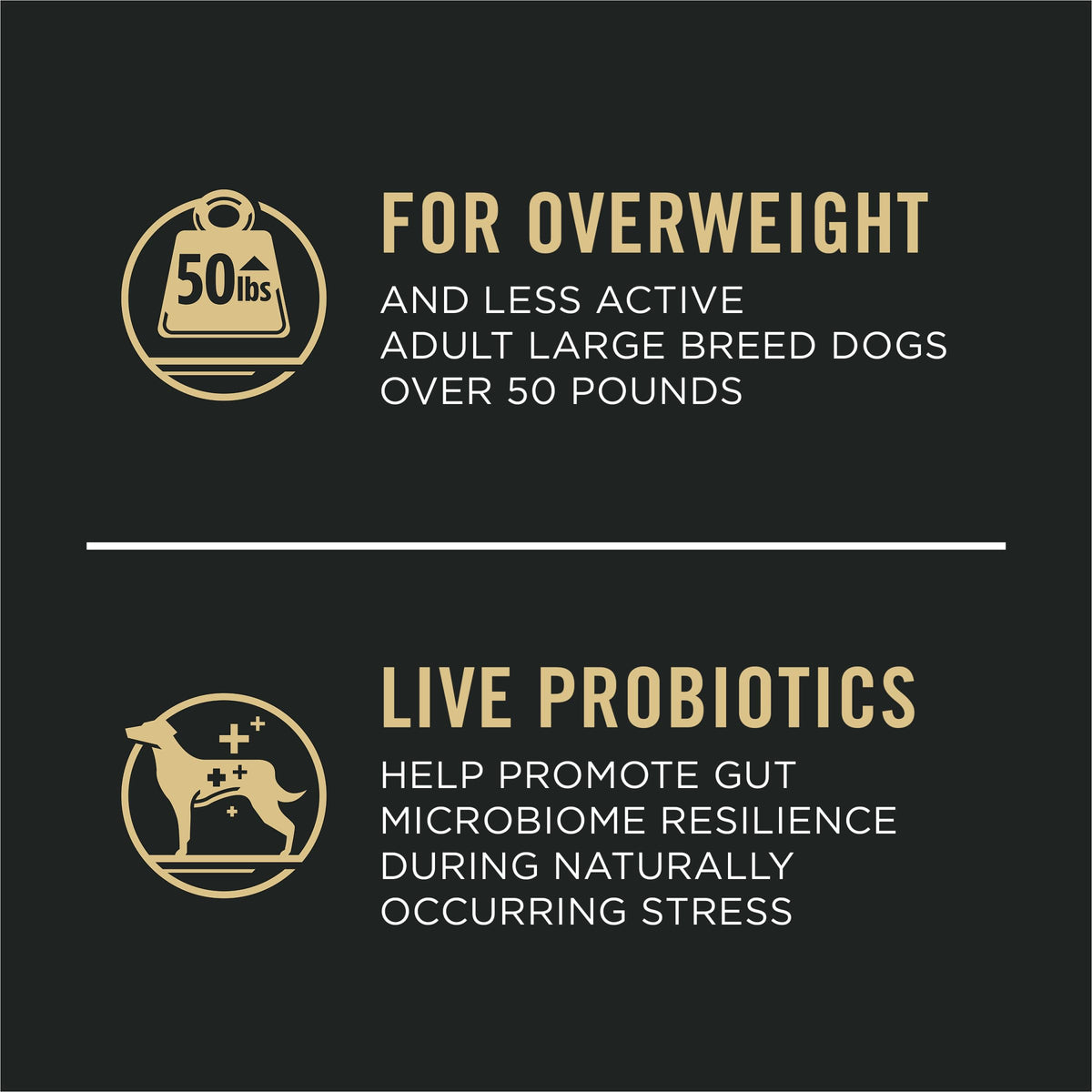 Purina Pro Plan FOCUS Adult Weight Management Large Breed Formula Adult Dry Food - (1) 34 lb. Bag 🍁 All In One Marketplace Canada