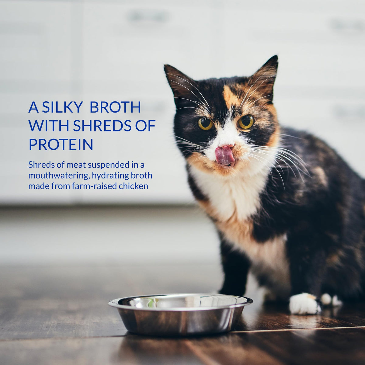 INABA Churu Broth for Cats, Side Dish Pouch, 39 Grams per Pouch, 12 Pouches, Chicken & Seafood Variety 🍁 All In One Marketplace Canada