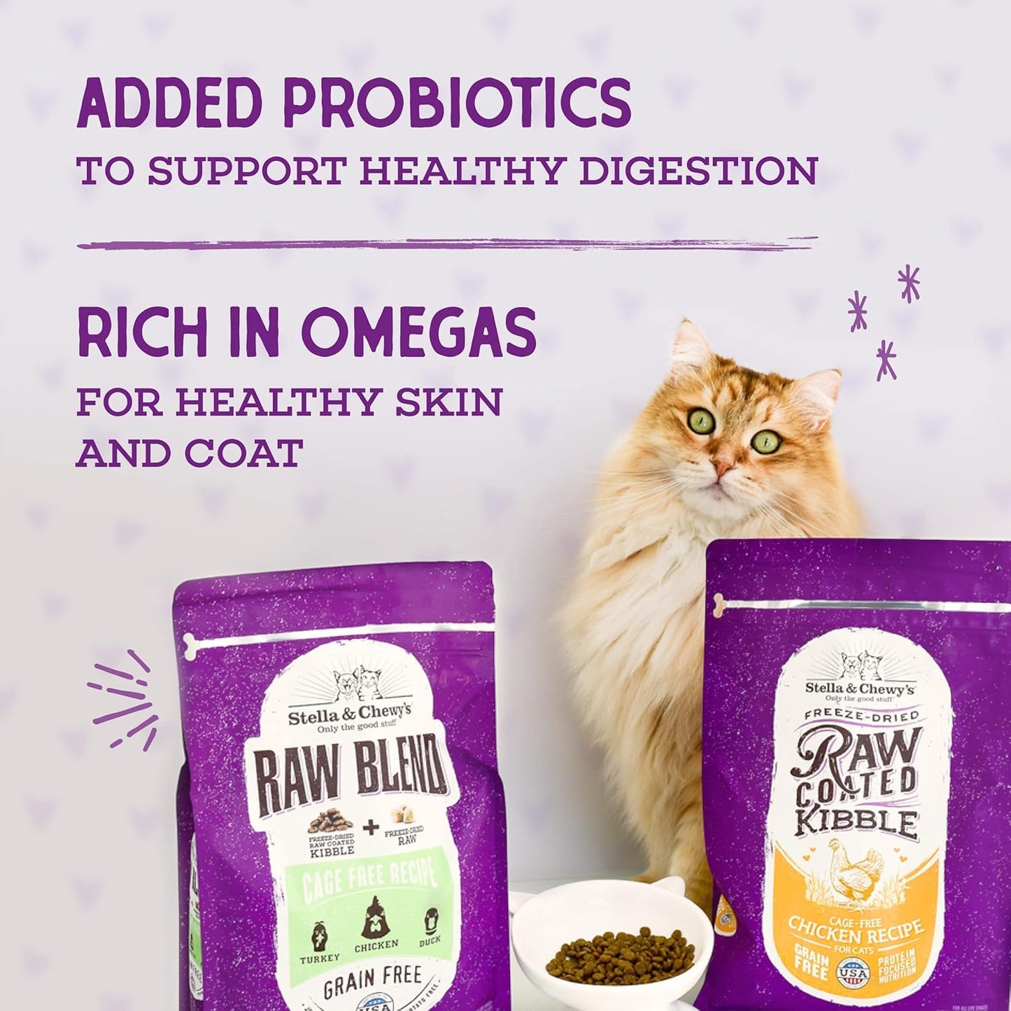 Stella & Chewy’s Raw Coated Premium Kibble Cat Food – Grain Free, Protein Rich Meals – Cage-Free Chicken Recipe – 1.13 kilograms 🍁 All In One Marketplace Canada