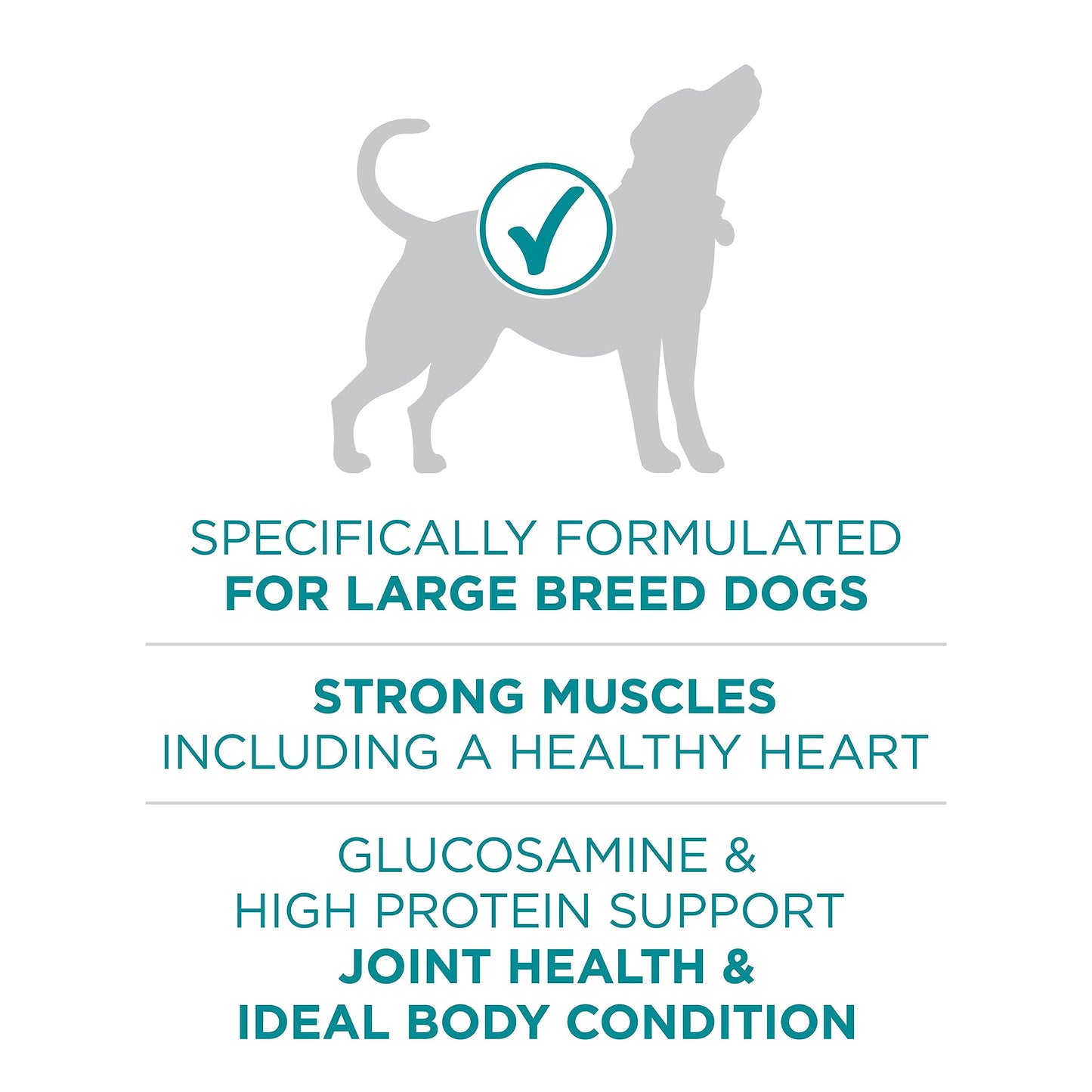 Purina ONE Dry Dog Food, +Plus Large Breed with Chicken - 7 kg Bag (1 Pack) 🍁 All In One Marketplace Canada