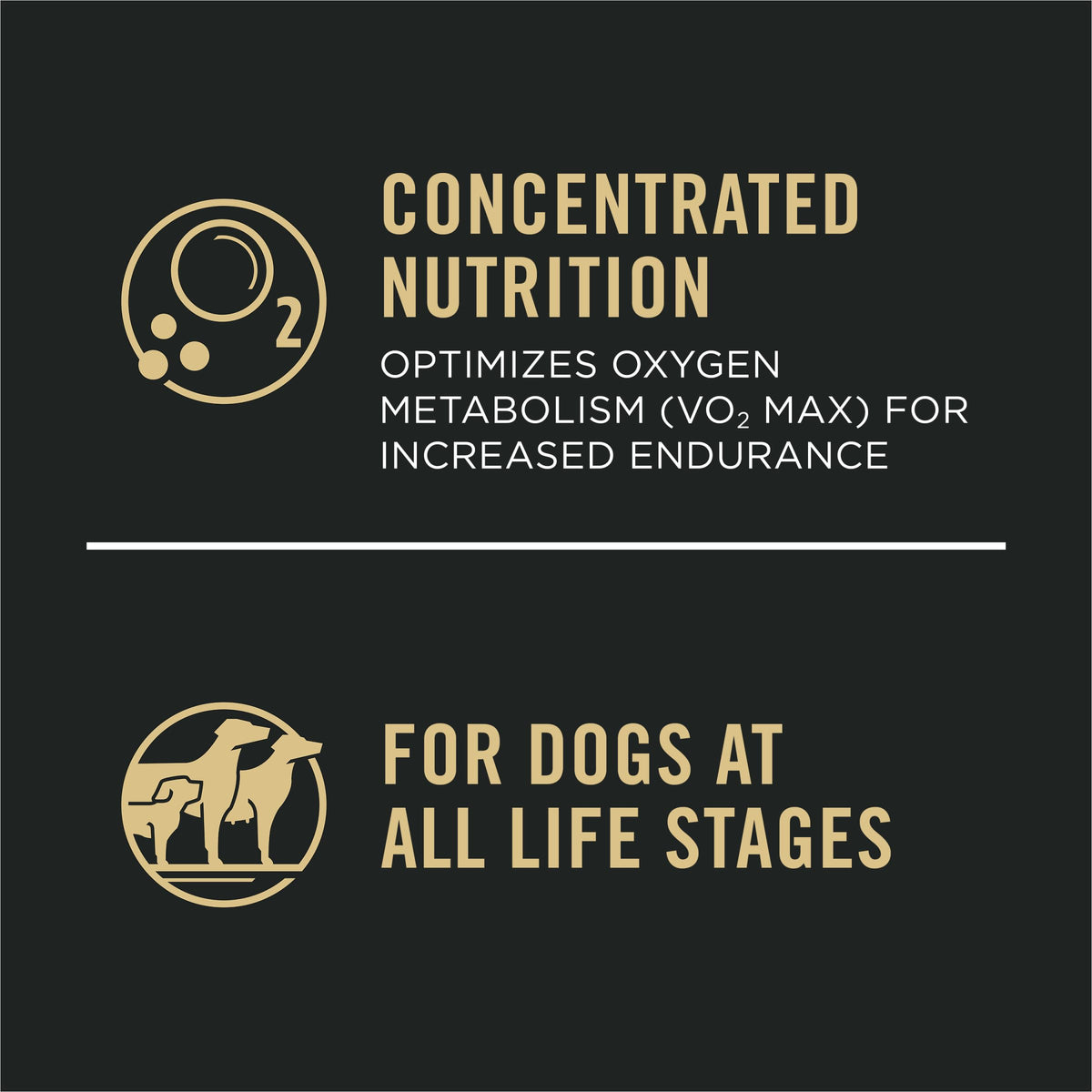 Purina Pro Plan Dry Dog Food, Sport Performance 30/20 Chicken & Rice - 17 kg Bag (1 Pack) 🍁 All In One Marketplace Canada