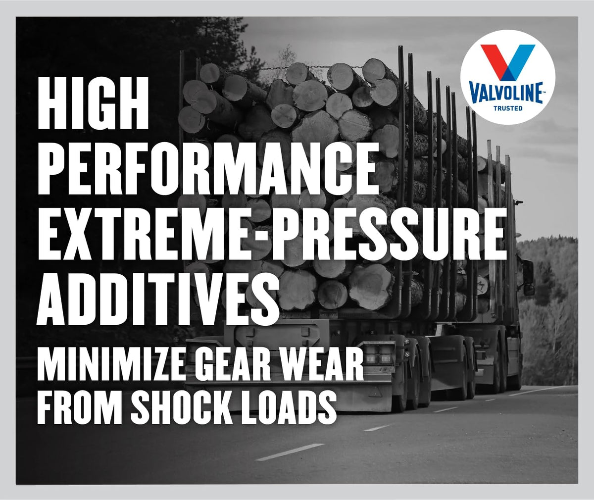 Valvoline Daily Protection 80W-90 Gear Oil 1 QT 🍁 All In One Marketplace Canada