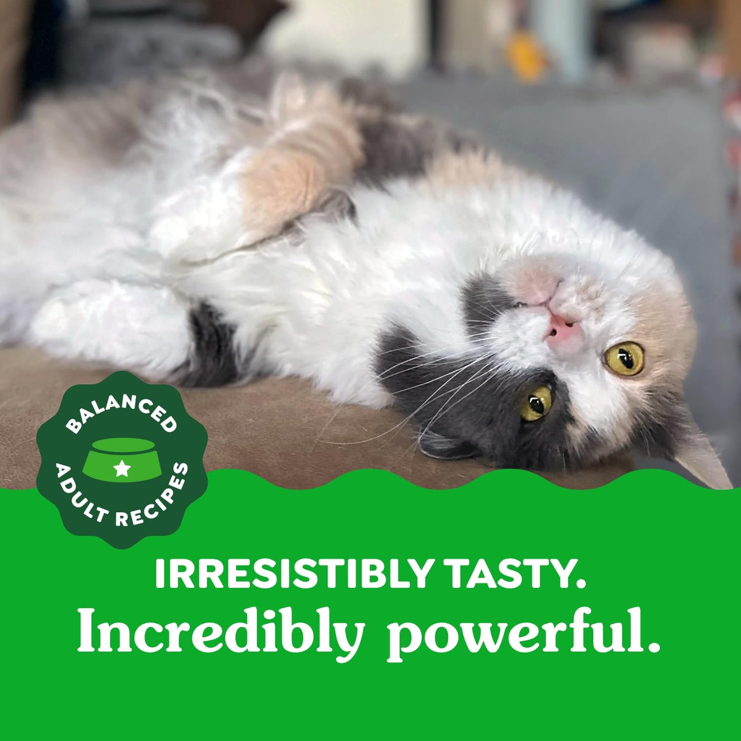 GREENIES Feline Cat Treats Natural Dental Care, Oven Roasted Chicken Flavour, 21oz. Tub 🍁 All In One Marketplace Canada