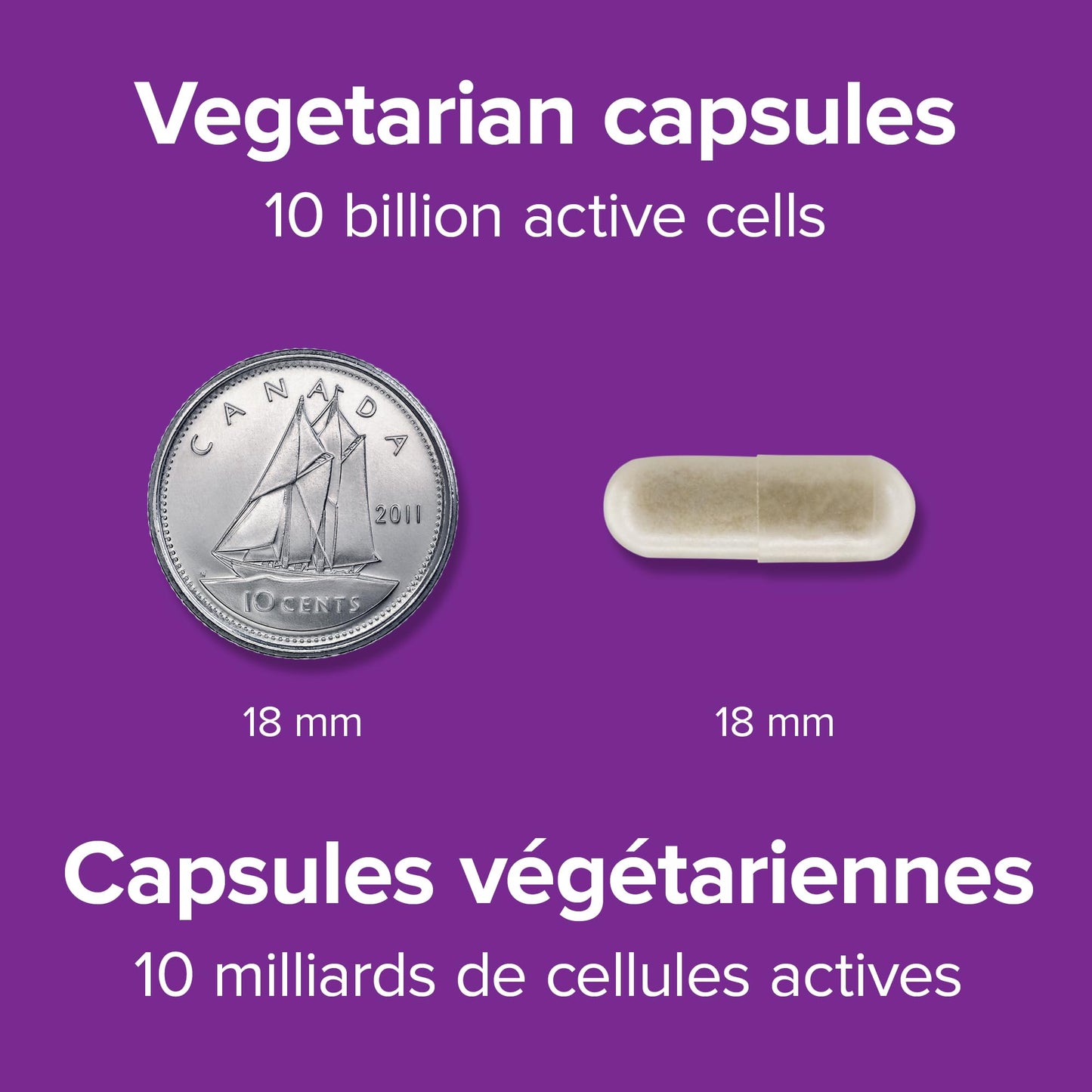 Webber Naturals Probiotic with Prebiotic, 10 Billion Active Cells, 15 Probiotic Strains, 90 Capsules, For Digestive Health, Vegan 🍁 All In One Marketplace Canada