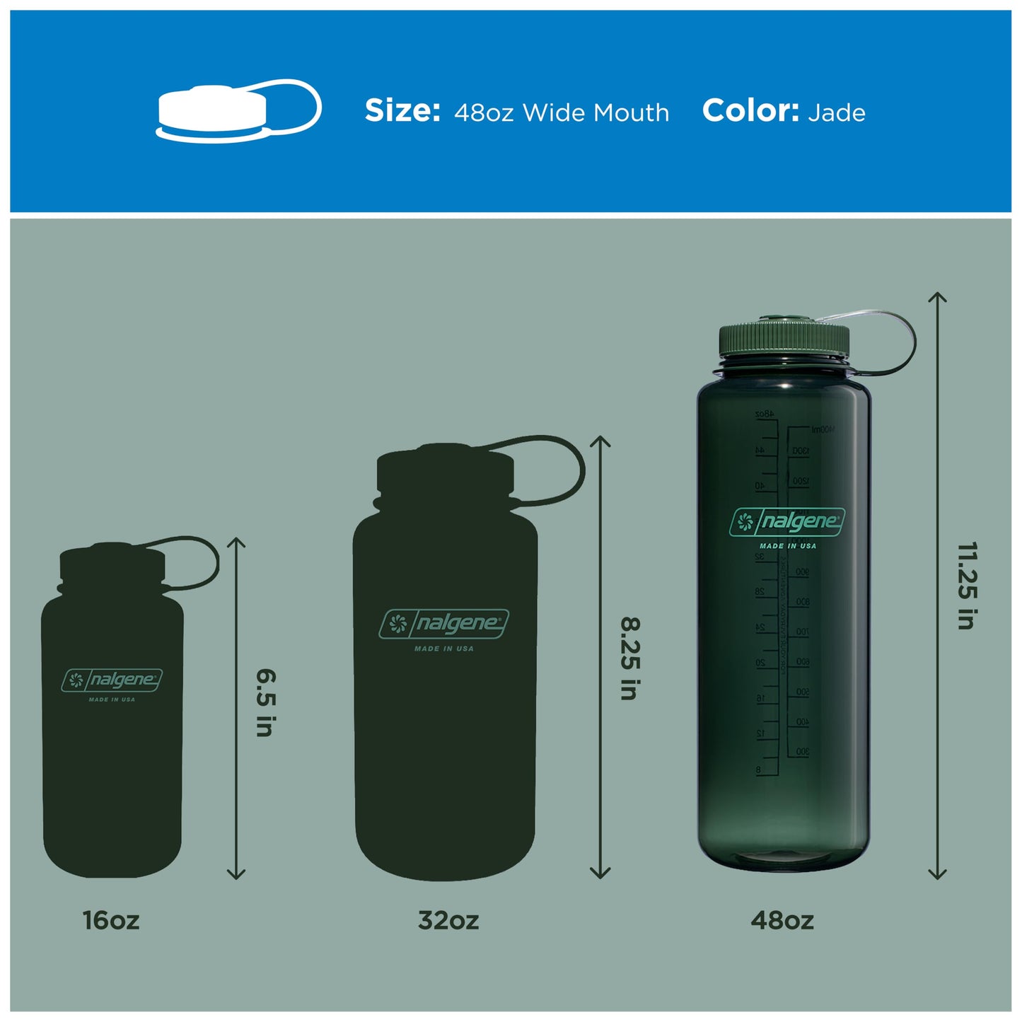 Nalgene 48 oz Wide Mouth Silo Water Bottle | BPA-Free, Durable & Leak Proof, Large & Lightweight for Hiking, Gym & Sports, Jade 🍁 All In One Marketplace Canada
