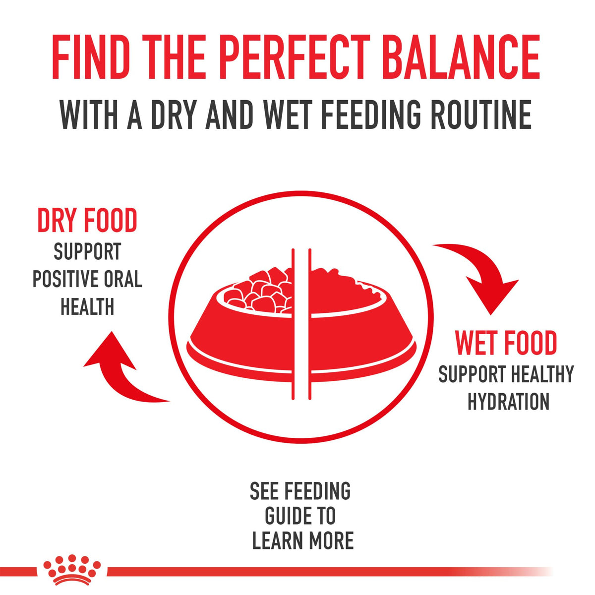 Royal Canin Feline Health Nutrition Indoor Adult Dry Cat Food, 7-Pound 🍁 All In One Marketplace Canada