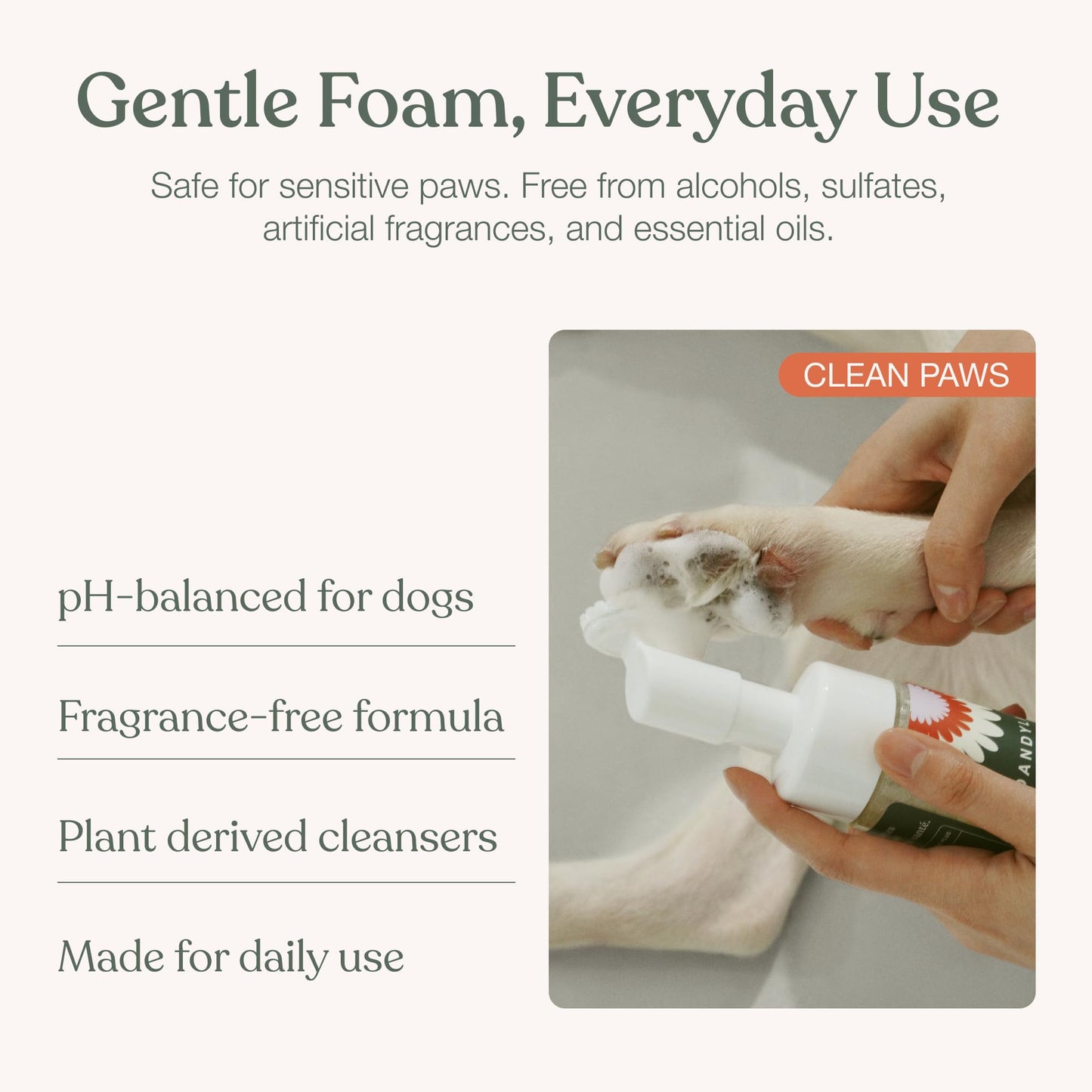 Dandylion Dog Paw Cleaner, Clean Paws, Dog Paw Washer, No Rinse Foam Cleaner for Dogs, Fragrance Free pH Balanced Foaming Washer with Silicone Brush, Pet Cleaning Supplies, 5 fl oz 🍁 All In One Marketplace Canada