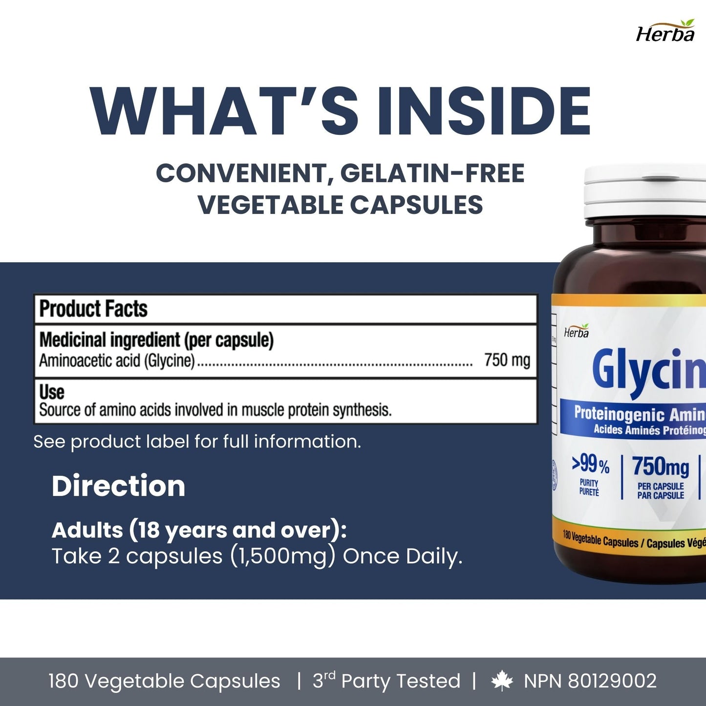 Herba Glycine Supplement 750mg - 180 Capsules | >99% Ultra Pure Glycine Capsules | Free-form Proteinogenic Amino Acids Supplements | Made in Canada 🍁 All In One Marketplace Canada