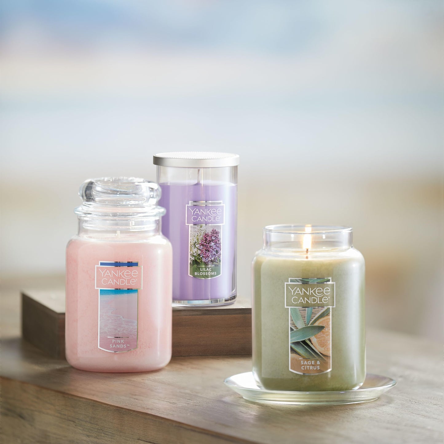Yankee Candle Scented Candle, Sage & Citrus, Original Large Jar Candle, 110-150 Hours of Burn Time, 22 oz. 🍁 All In One Marketplace Canada