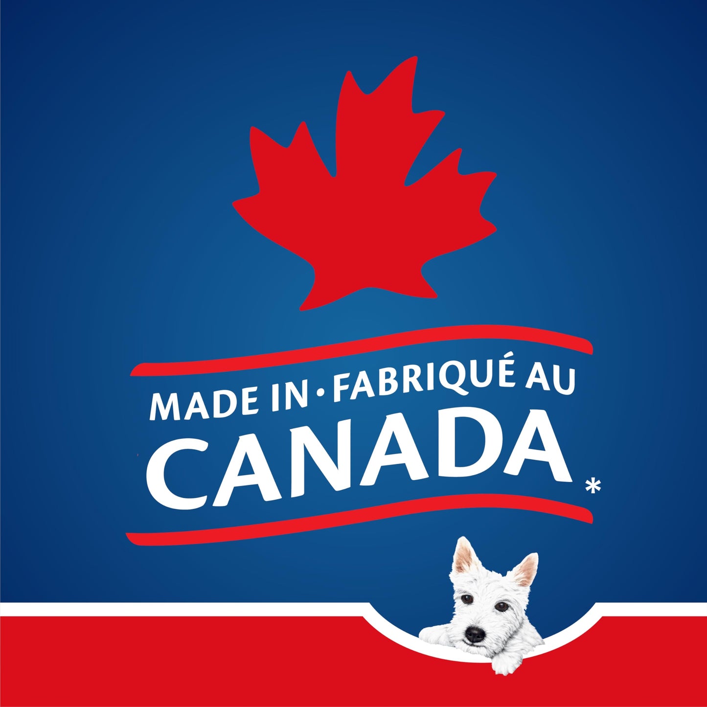 Scotties Original Everyday Care Facial Tissue, Hypoallergenic and Dermatologist Tested, 24 Boxes, 126 Tissues per Box 🍁 All In One Marketplace Canada