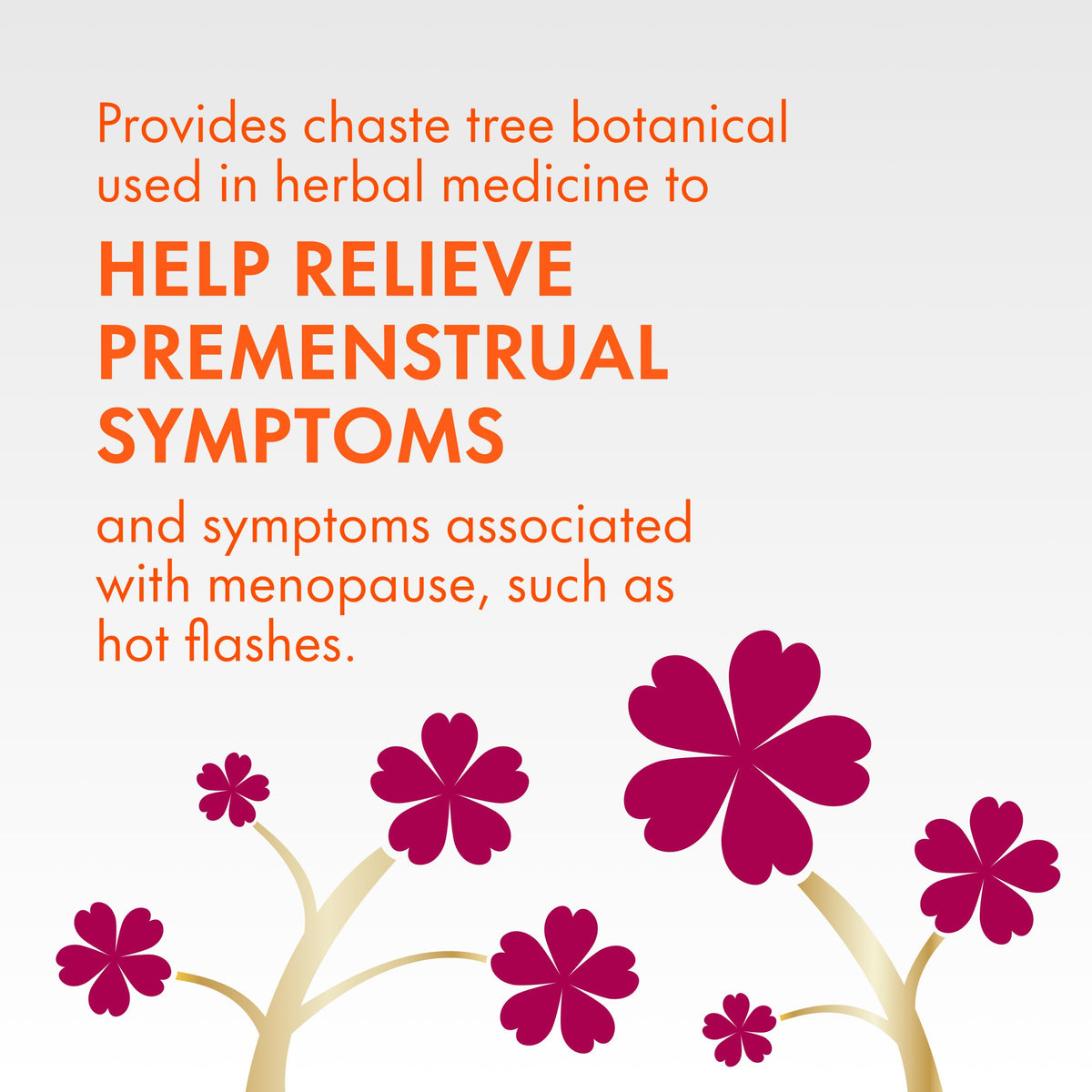 Align Probiotic, Women's Dual Action, Multi-Strain Probiotic, with Chaste Tree, Soothes Occasional Abdominal Discomfort, Gas, Bloating, 28 Capsules 🍁 All In One Marketplace Canada