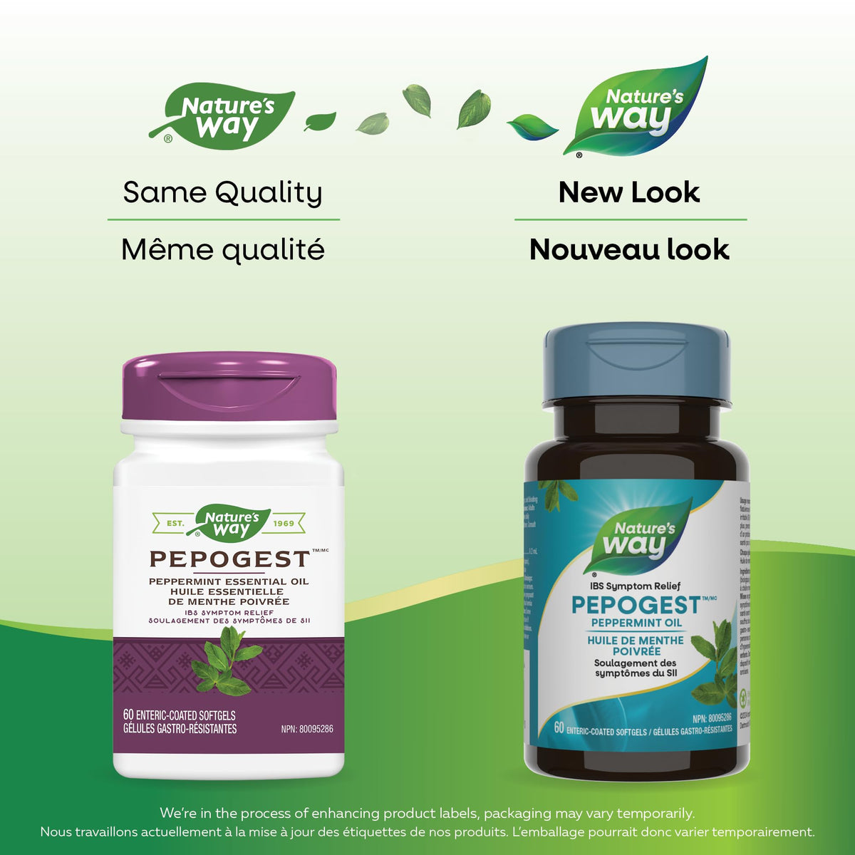 Nature’s Way Pepogest Peppermint Oil Softgels – Help Relieve Abdominal Pain, Gas & Bloating Associated with Irritable Bowel Syndrome – Enteric-Coated – 60 Capsules 🍁 All In One Marketplace Canada