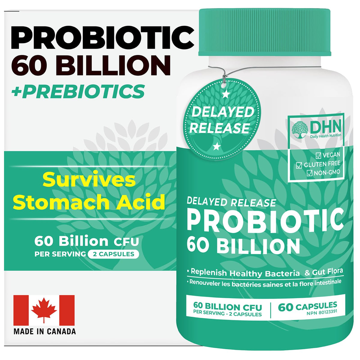 Probiotics Women & Men - 60 Billion CFU Probiotic + Prebiotics | Delayed Release Capsules Survive Stomach Acid for Max Potency | Digestive & Immune Support | Bloating & Gas Relief | Shelf Stable Lactobacillus Strains | Canadian Made, 3rd Party Tested