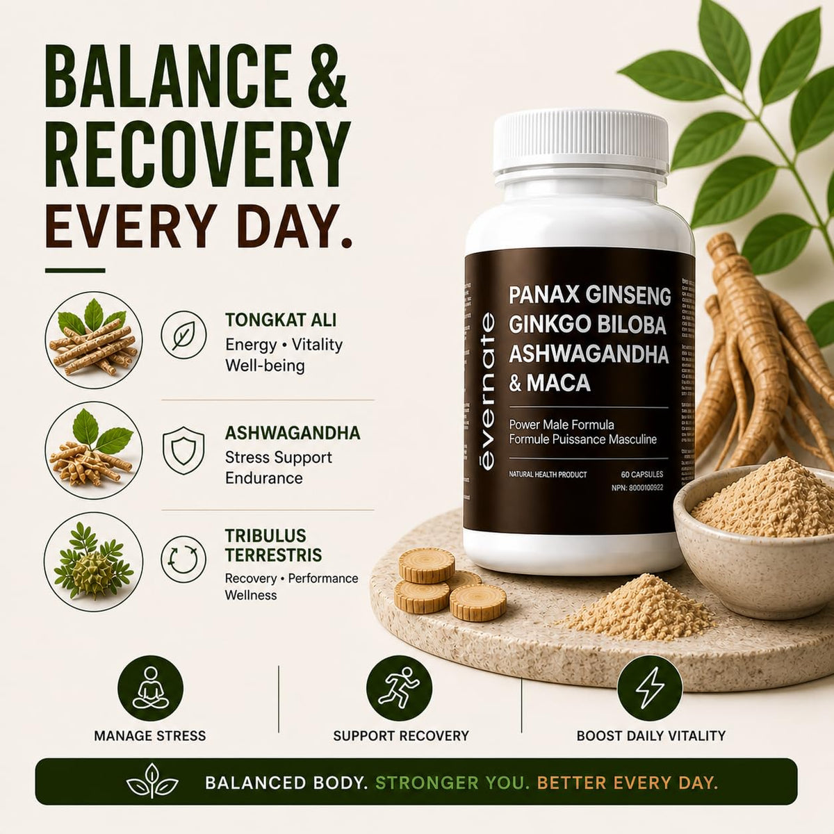 ONE Maca, Ginkgo Biloba, Panax Ginseng, Tribulus, Tongkat Ali, L-Arginine & Ashwagandha – Energy, Stamina, Endurance & Vitality Support – Made in Canada 🍁 All In One Marketplace Canada