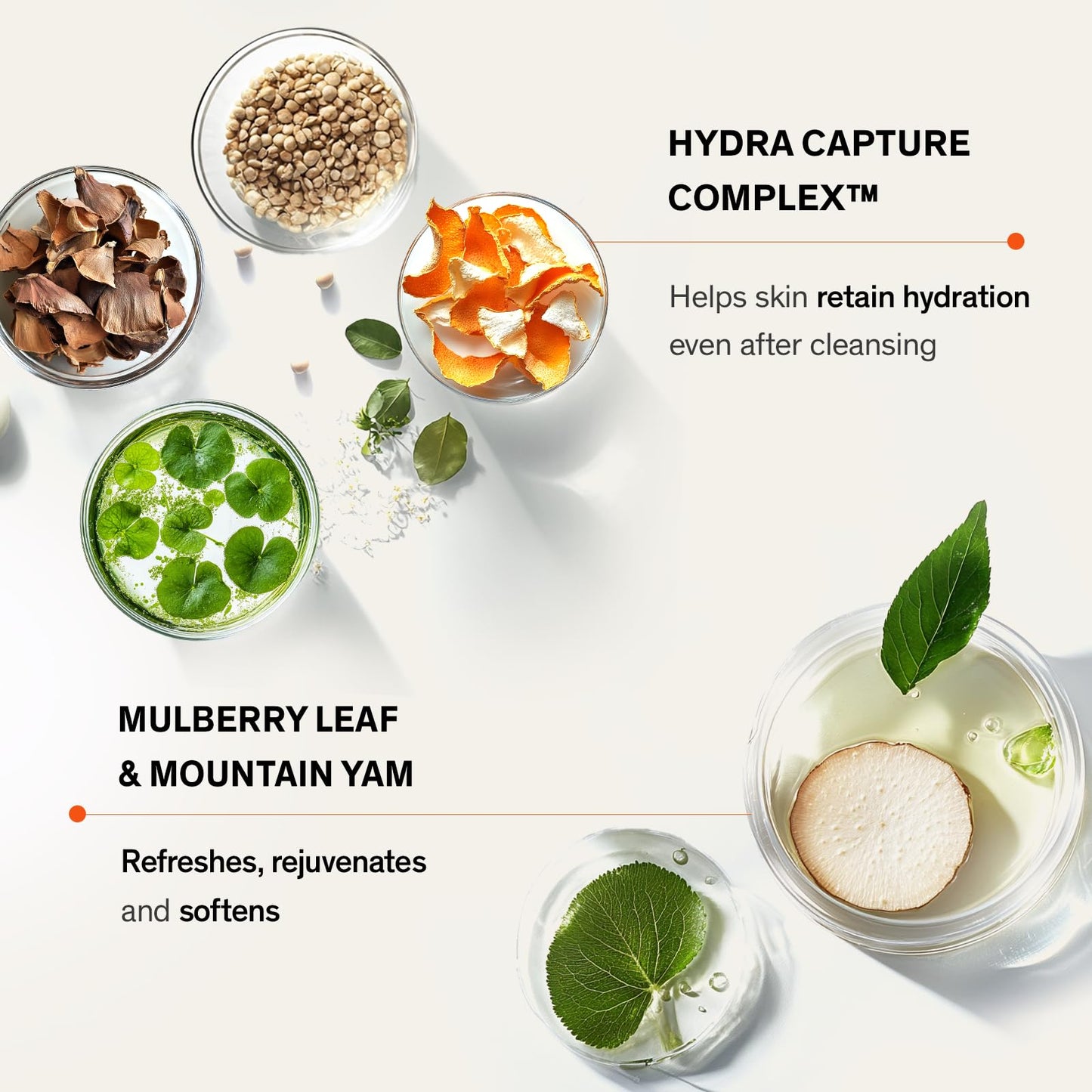 Sulwhasoo Gentle Cleansing Foam – Hydrating Daily Gel-to-Foam Facial Cleanser with Korean Herbal Ingredients | Removes Makeup, Dirt & Impurities, Softens & Refreshes Skin | Korean Skincare Face Wash 🍁 All In One Marketplace Canada