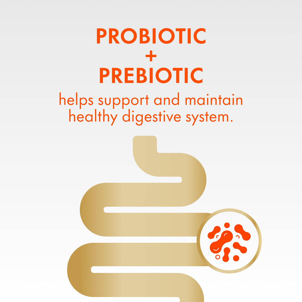 Align DUALBIOTIC PREbiotic + PRObiotic Gummies for Women & Men, Helps Support a Healthy Digestive System, Made With Naturally Fruit Flavours, 60 Count 🍁 All In One Marketplace Canada