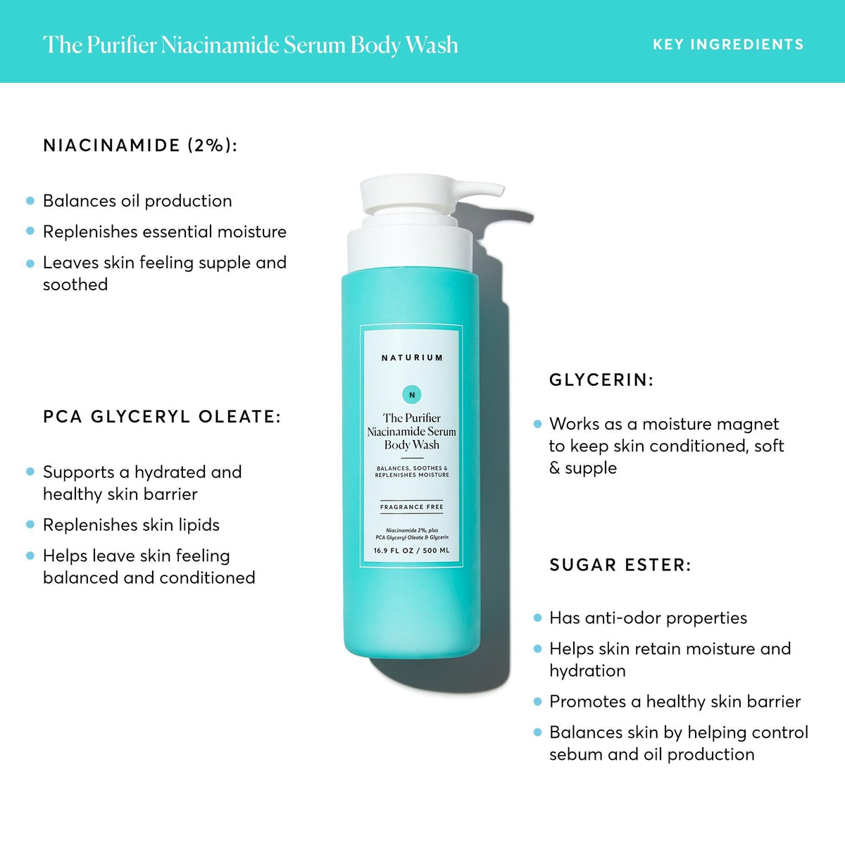 Naturium The Purifier Niacinamide Serum Body Wash | Moisturizing Shower Gel, With PCA Glyceryl Oleate & Glycerin | 16.9 FL OZ / 500 ml 🍁 All In One Marketplace Canada