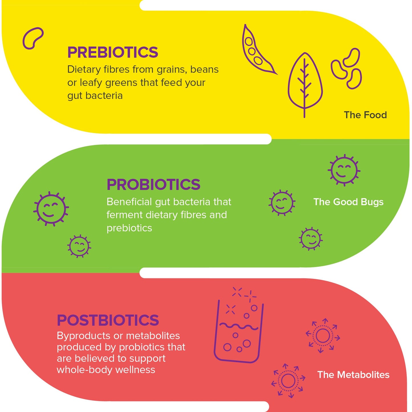 Webber Naturals Probiotic with Prebiotic, 10 Billion Active Cells, 15 Probiotic Strains, 90 Capsules, For Digestive Health, Vegan 🍁 All In One Marketplace Canada