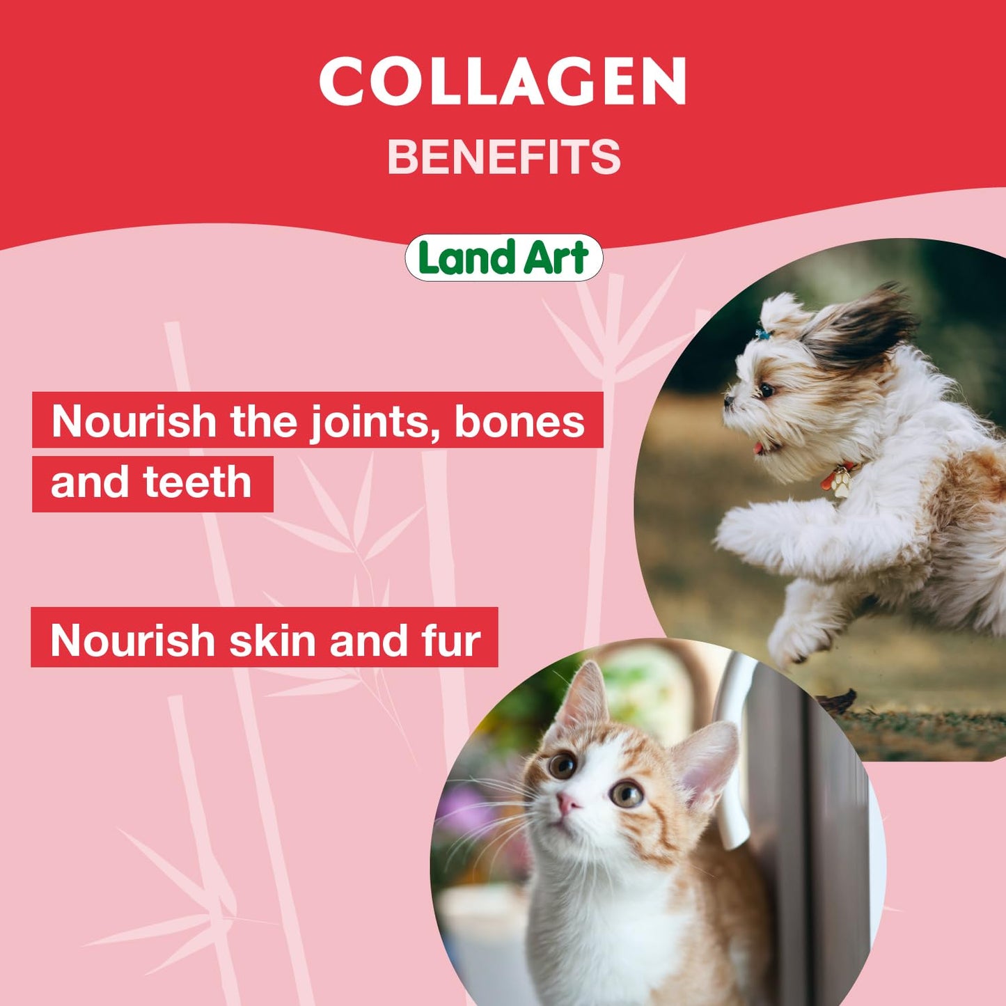 Pet Collagen Supplement - Grass Fed Beef Hydrolyzed - Natural Beef Flavour - Joint Care - Mobility & Health - Gluten, GMO & Sugar Free - for Dog & Cats - Made in Canada - 500ml 🍁 All In One Marketplace Canada