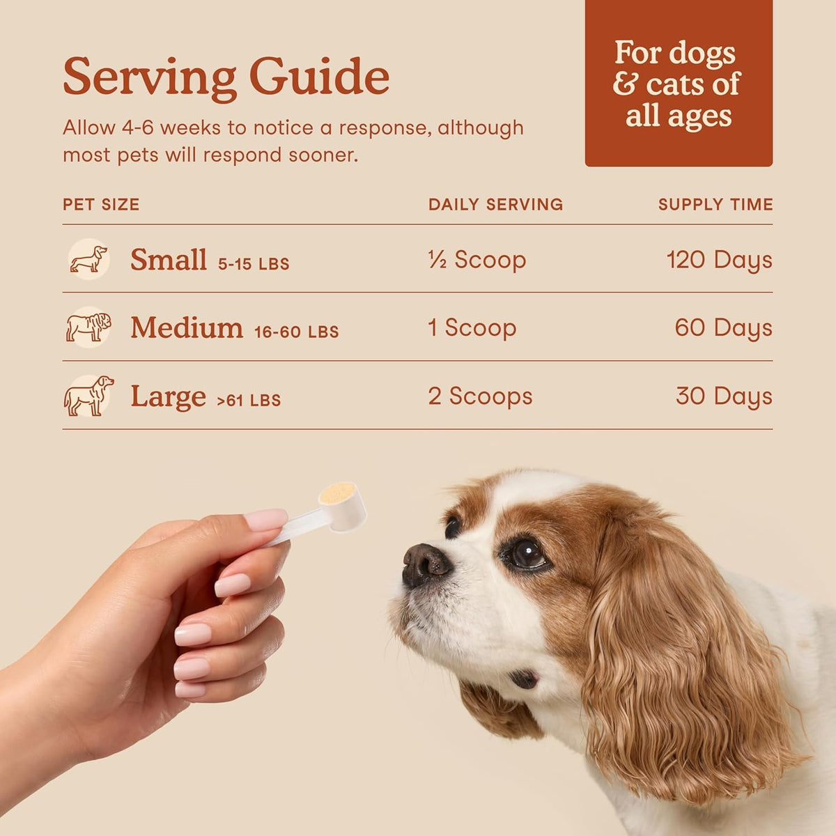 Fera Pets Probiotics for Dogs & Cats with Prebiotics - USDA Organic - Gut Health Powder Supplement with 12 Strains and 5 Billion CFUs - Supports Immunity, Energy and Skin & Coat - 60 Scoops 🍁 All In One Marketplace Canada