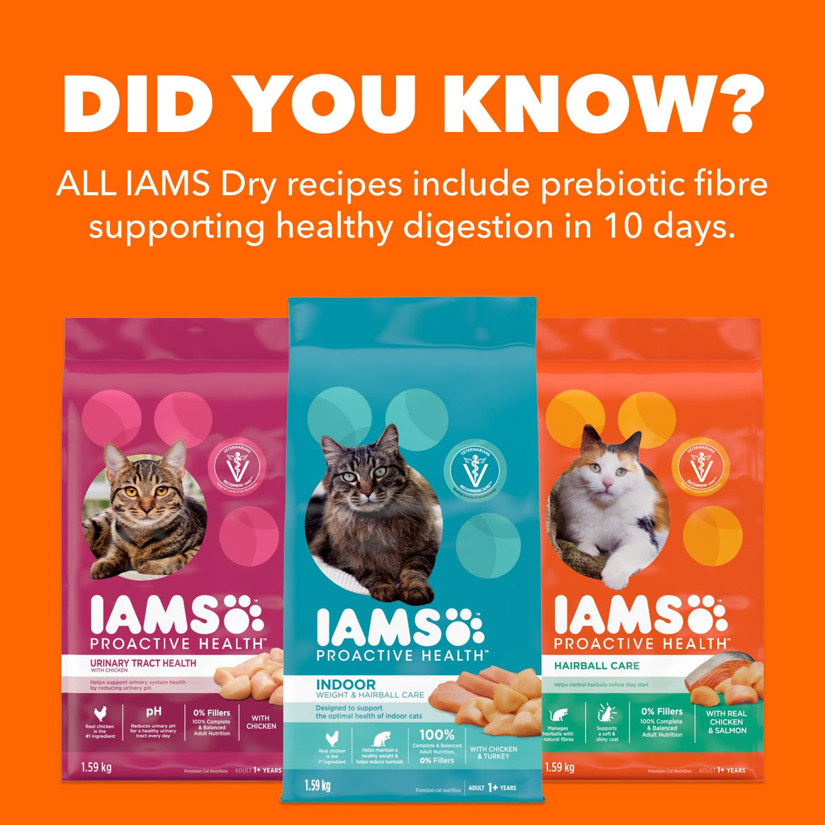 IAMS Proactive Health Adult Dry Cat Food, Salmon Flavour, 3.18kg 🍁 All In One Marketplace Canada