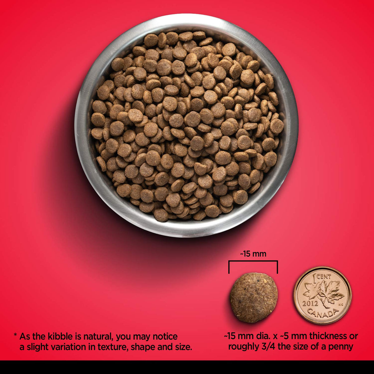 Zoe Grain Free Dog Food, All Breeds, Beef with Peas & Pumpkin, 5 kg 🍁 All In One Marketplace Canada