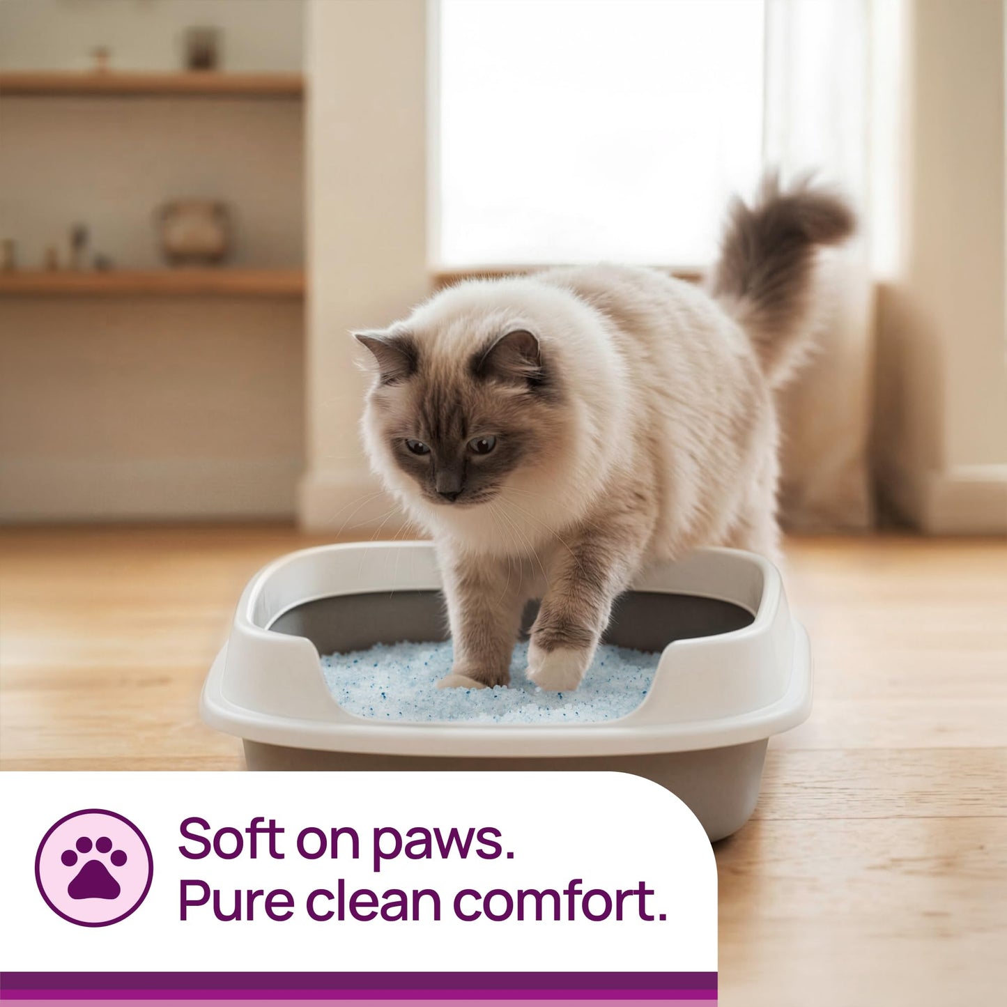 Litter Pearls Micro Crystals Unscented Non-Clumping Crystal Cat Litter with Odorbond, 7 lb, White, Clear and Blue Crystals (LPMC7) 🍁 All In One Marketplace Canada
