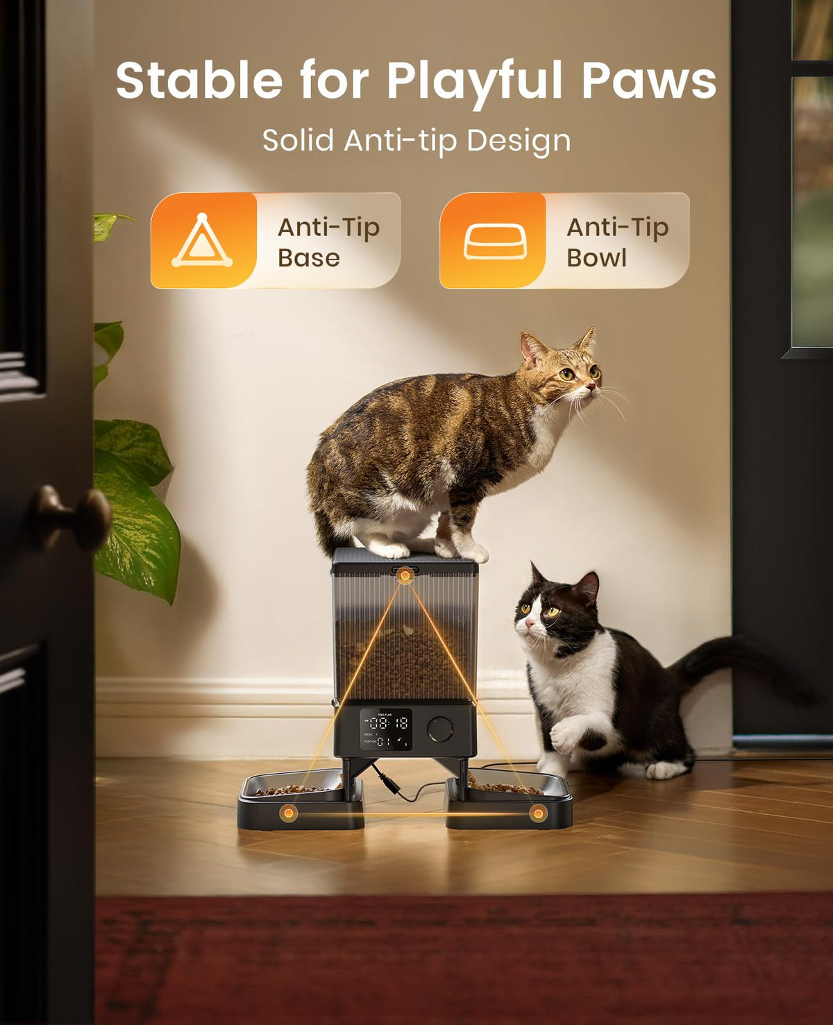 oneisall Automatic Cat Feeder for 2 Cats, 20 Cups/5L Automatic Cat Food Dispenser for Small Pets Indoor, Timed Cat Feeder for Dry Food 🍁 All In One Marketplace Canada