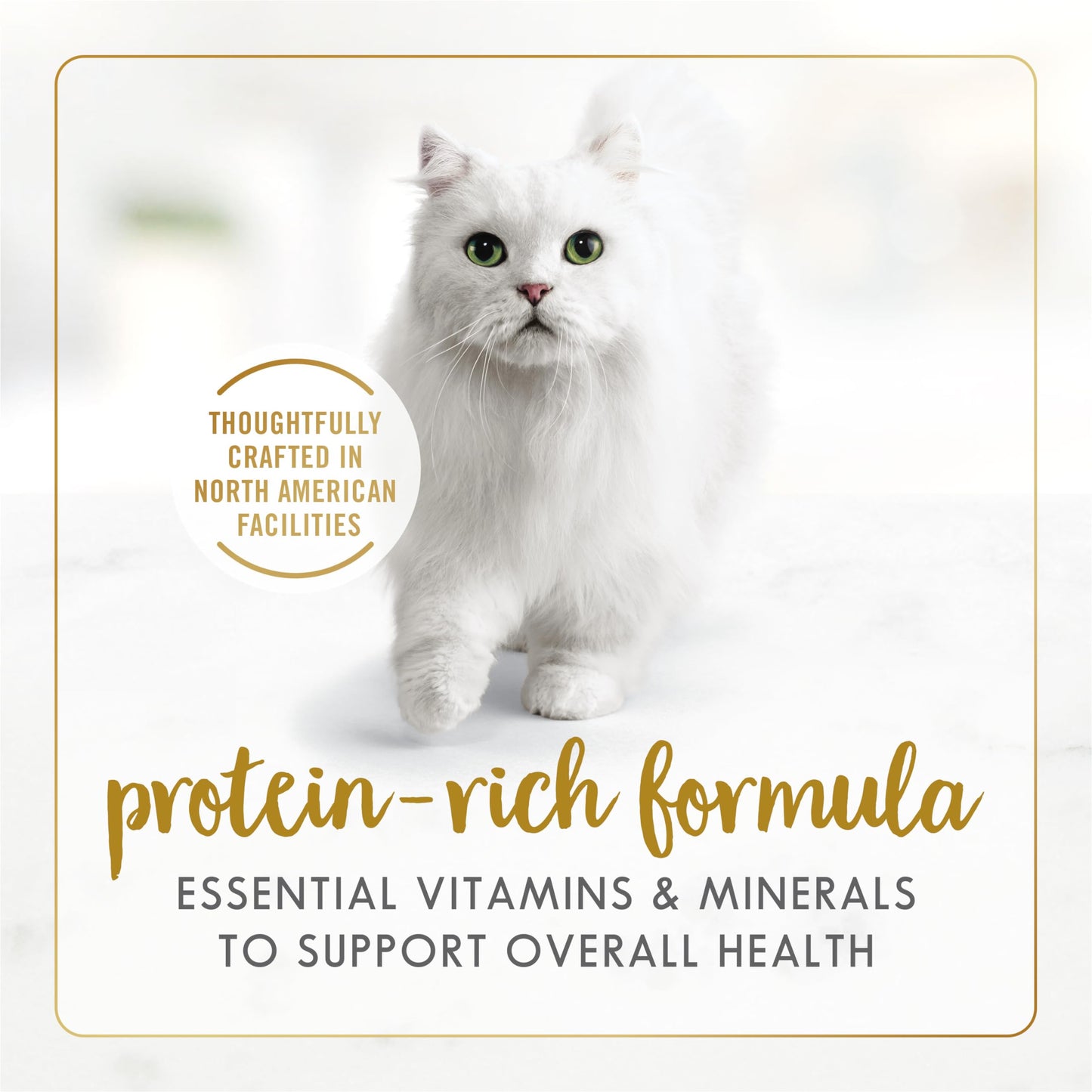 Fancy Feast Grilled Wet Cat Food, in Gravy Variety Pack 3 Flavours - 85 g Can (24 Pack) 🍁 All In One Marketplace Canada