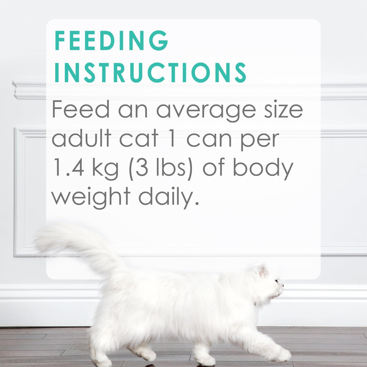 Fancy Feast Grilled Wet Cat Food, in Gravy Variety Pack 3 Flavours - 85 g Can (24 Pack) 🍁 All In One Marketplace Canada