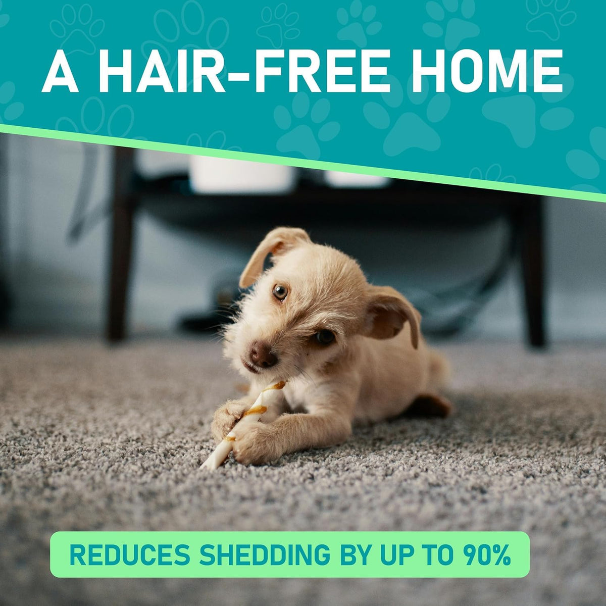 Maxpower Planet Pet Grooming Brush - Double Sided Shedding, Dematting (A1 Blue, Large) 🍁 All In One Marketplace Canada
