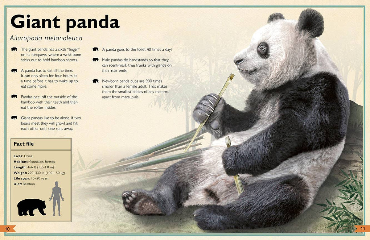 Insight Editions - The Magnificent Book of Animals - Ages 6+