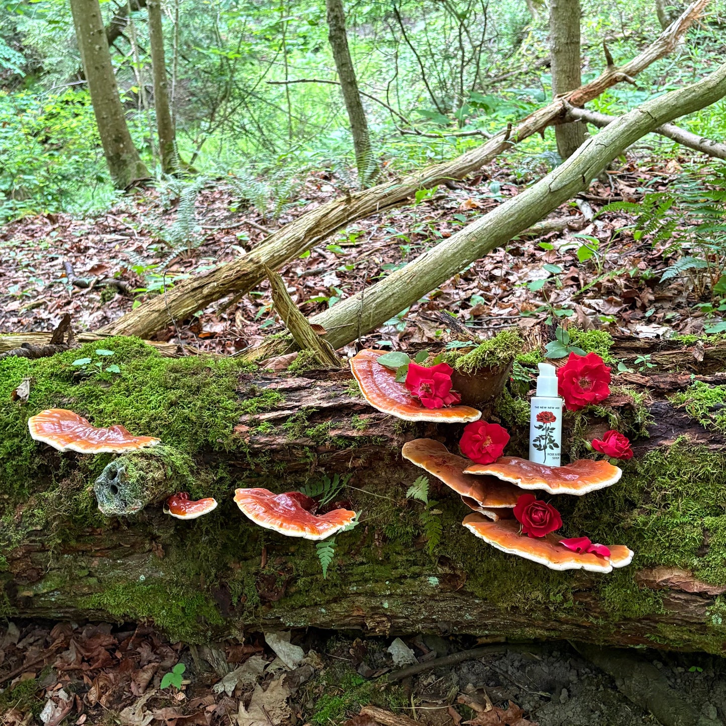 ROSE & REISHI SERUM